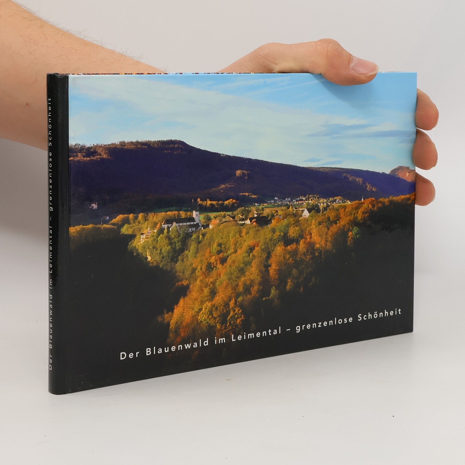 Martin Roth Der Blauenwald im Leimental - grenzenlose Schönheit