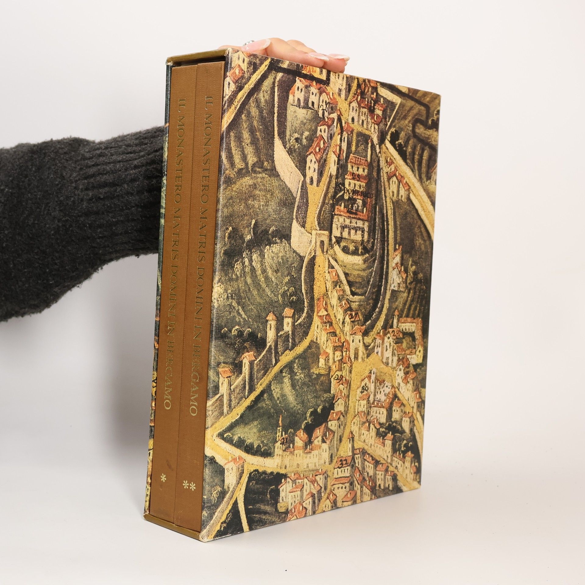 Vanni Zanella Il Monastero Matris Domini in Bergamo