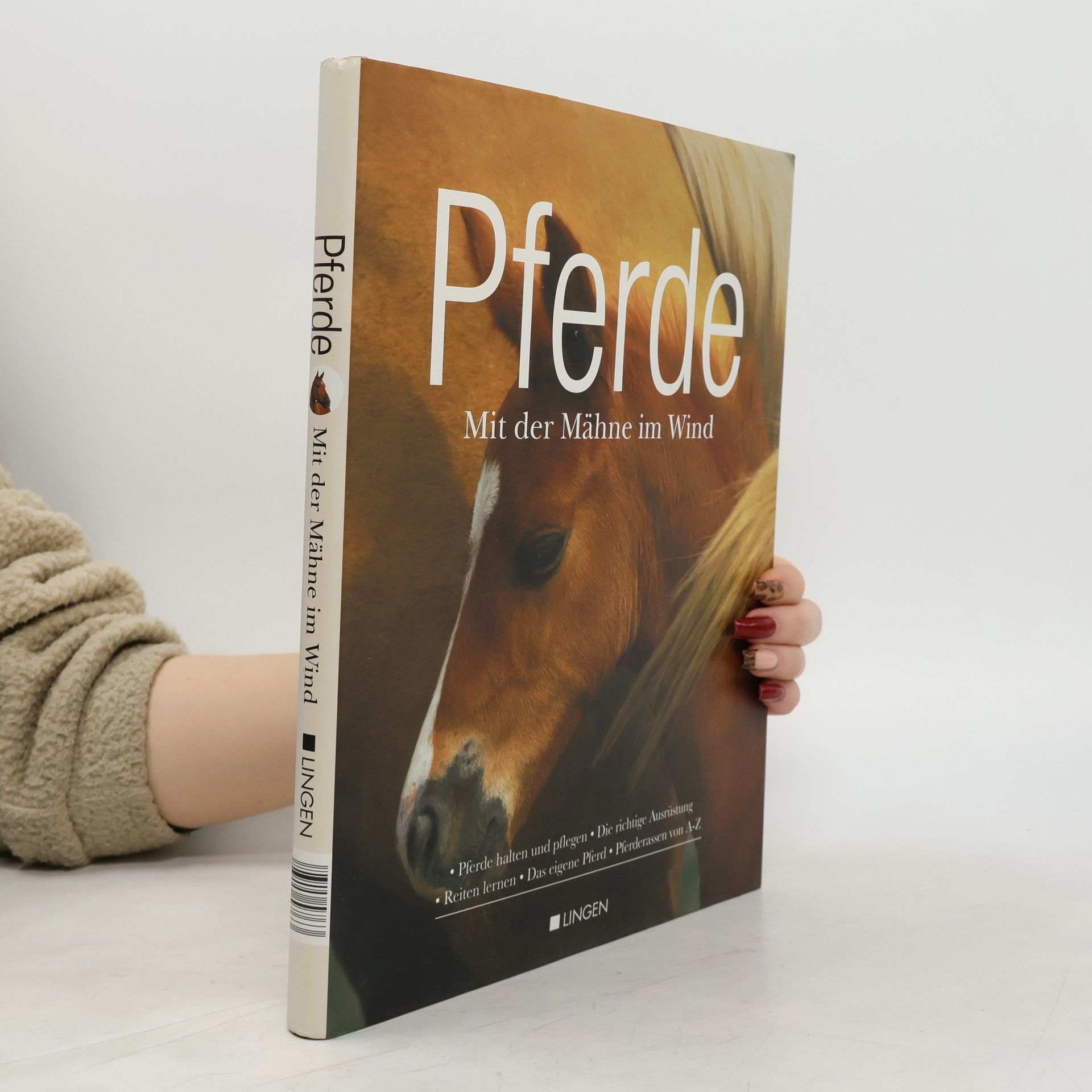 Autorenkollektiv Pferde. Mit der Mähne im Wind