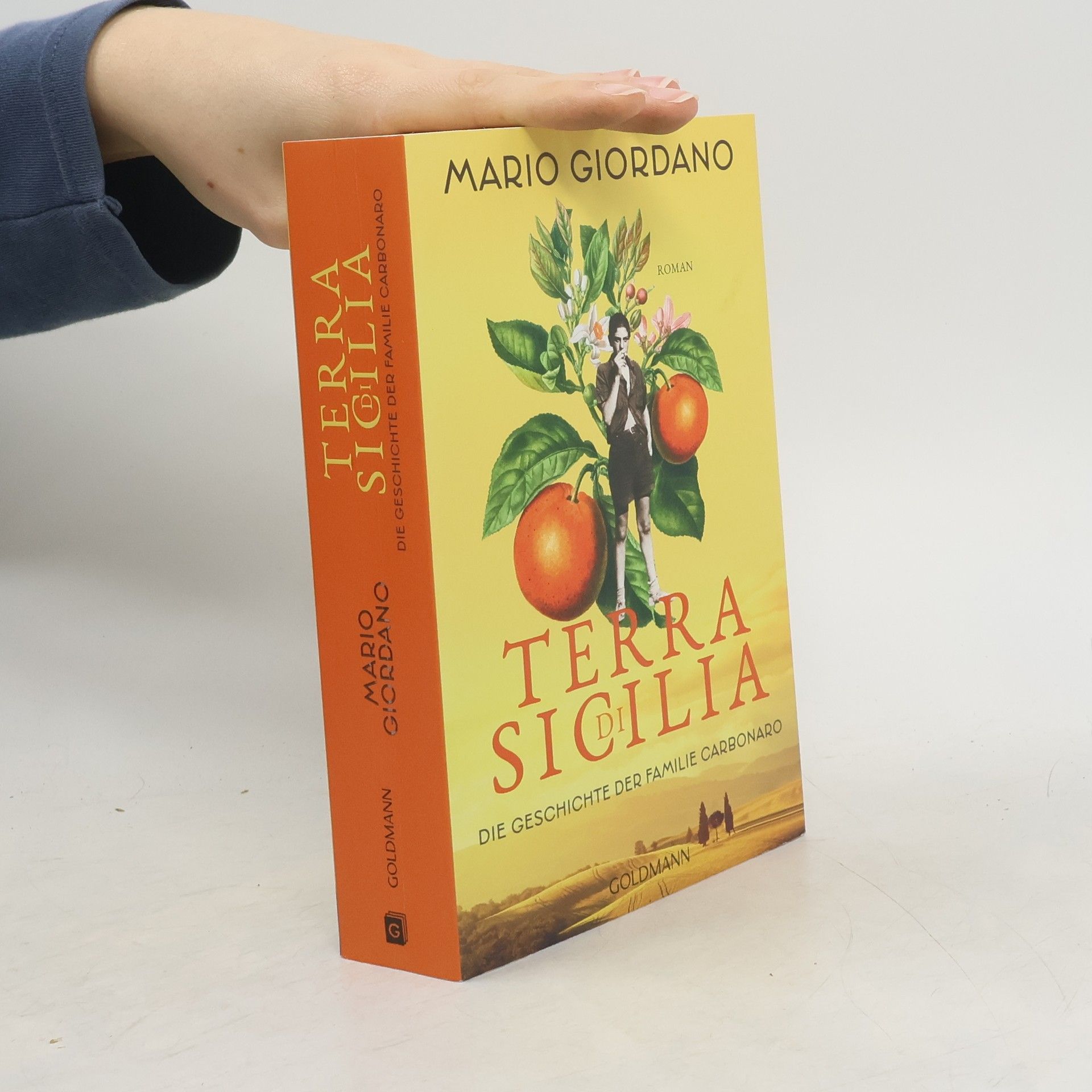 Mario Giordano Terra di Sicilia. Die Geschichte der Familie Carbonaro