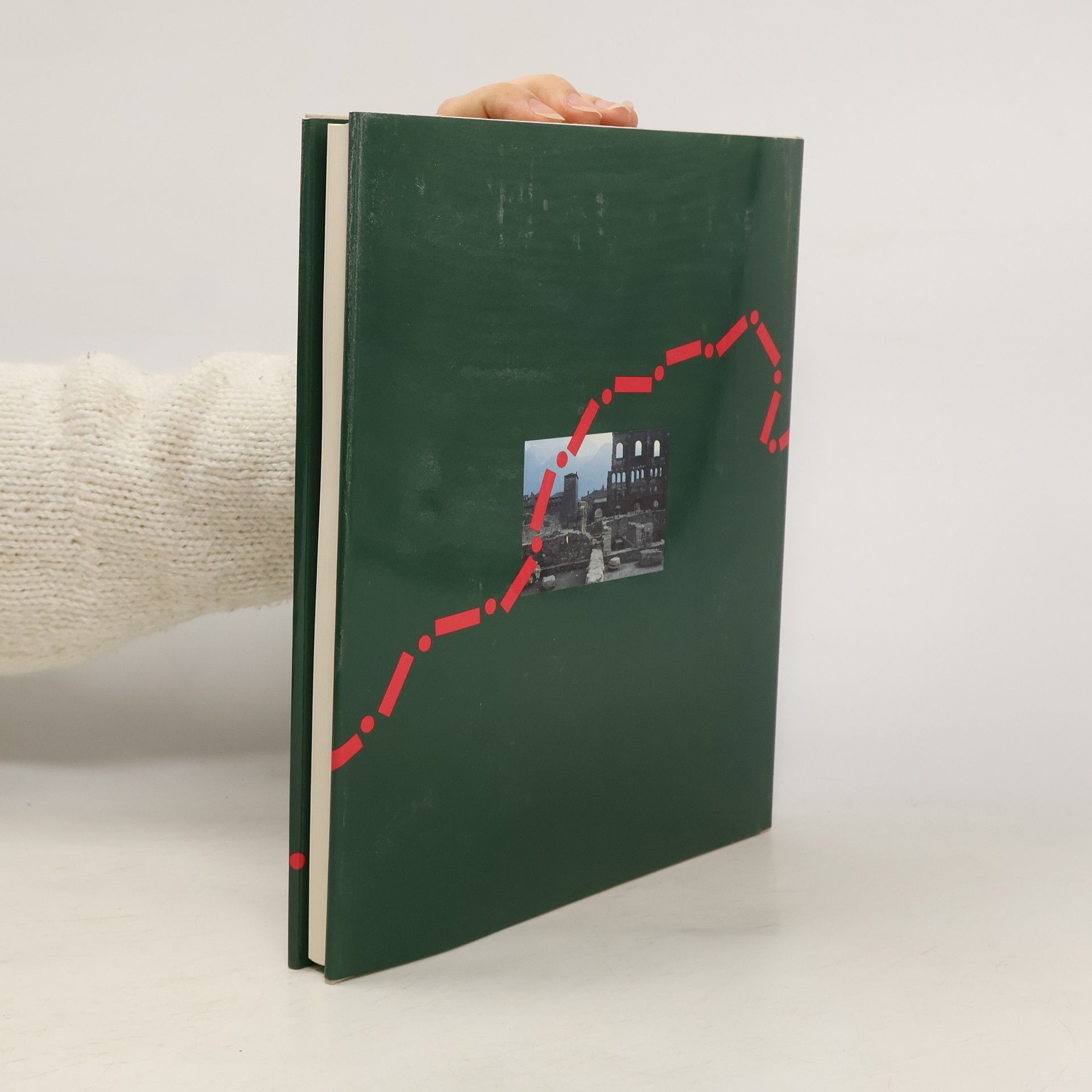 Hans Peter Treichler In 80 Tagen um die Schweiz