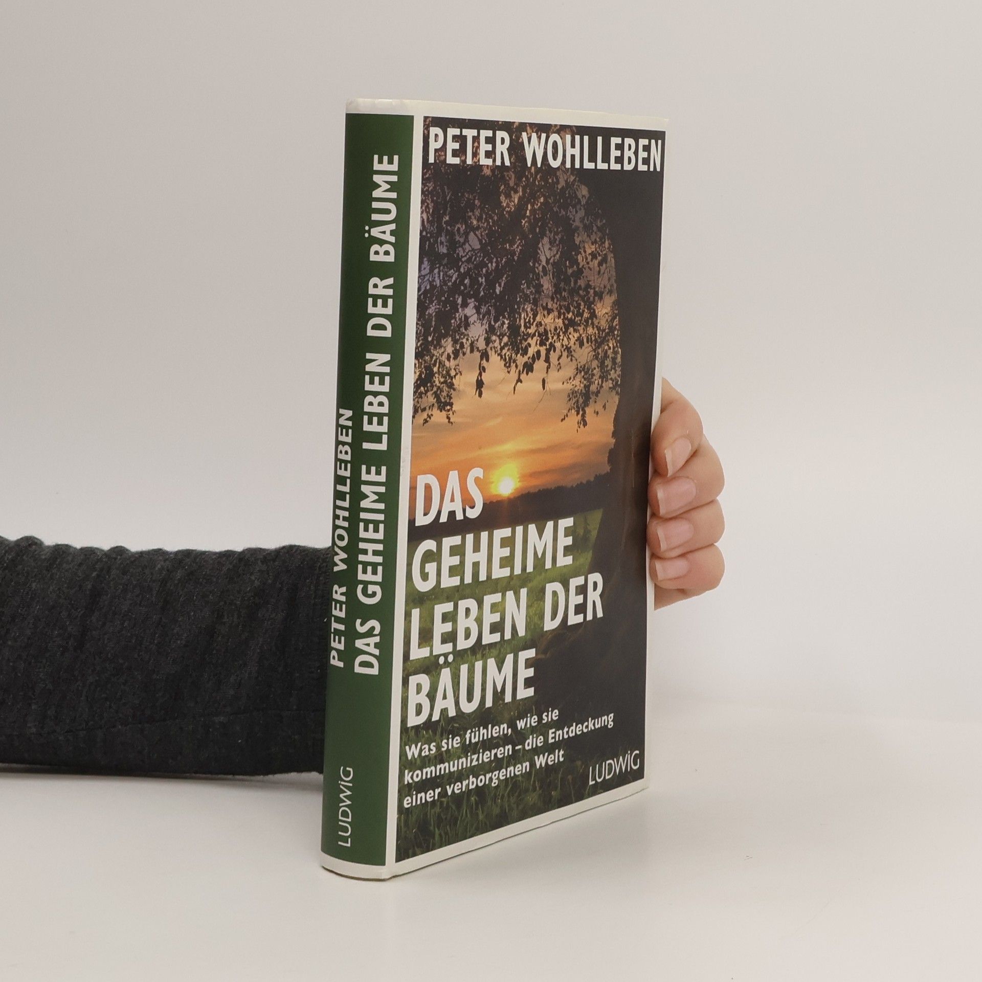 Peter Wohlleben Das geheime Leben der Bäume