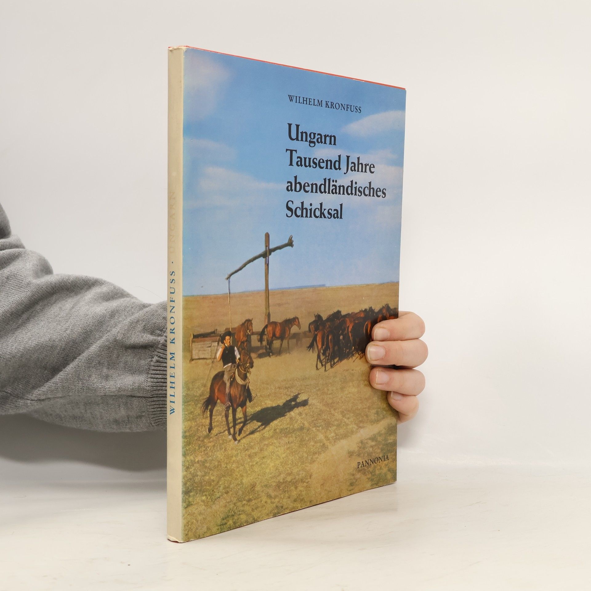 Ungarn Tausend Jahre abendländisches Schicksal