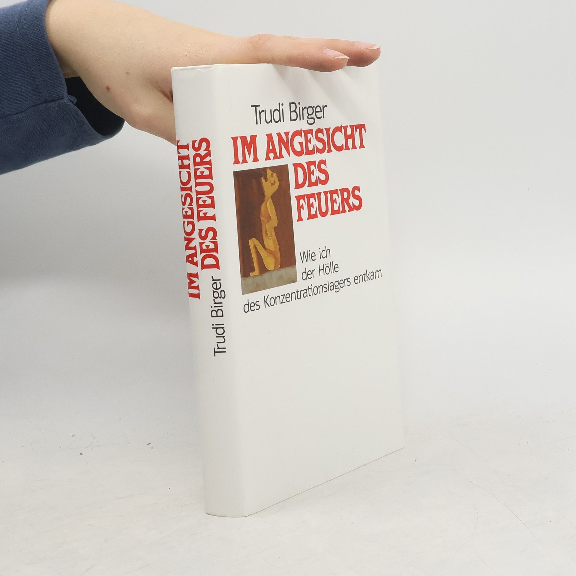 Trudi Birger Im Angesicht des Feuers