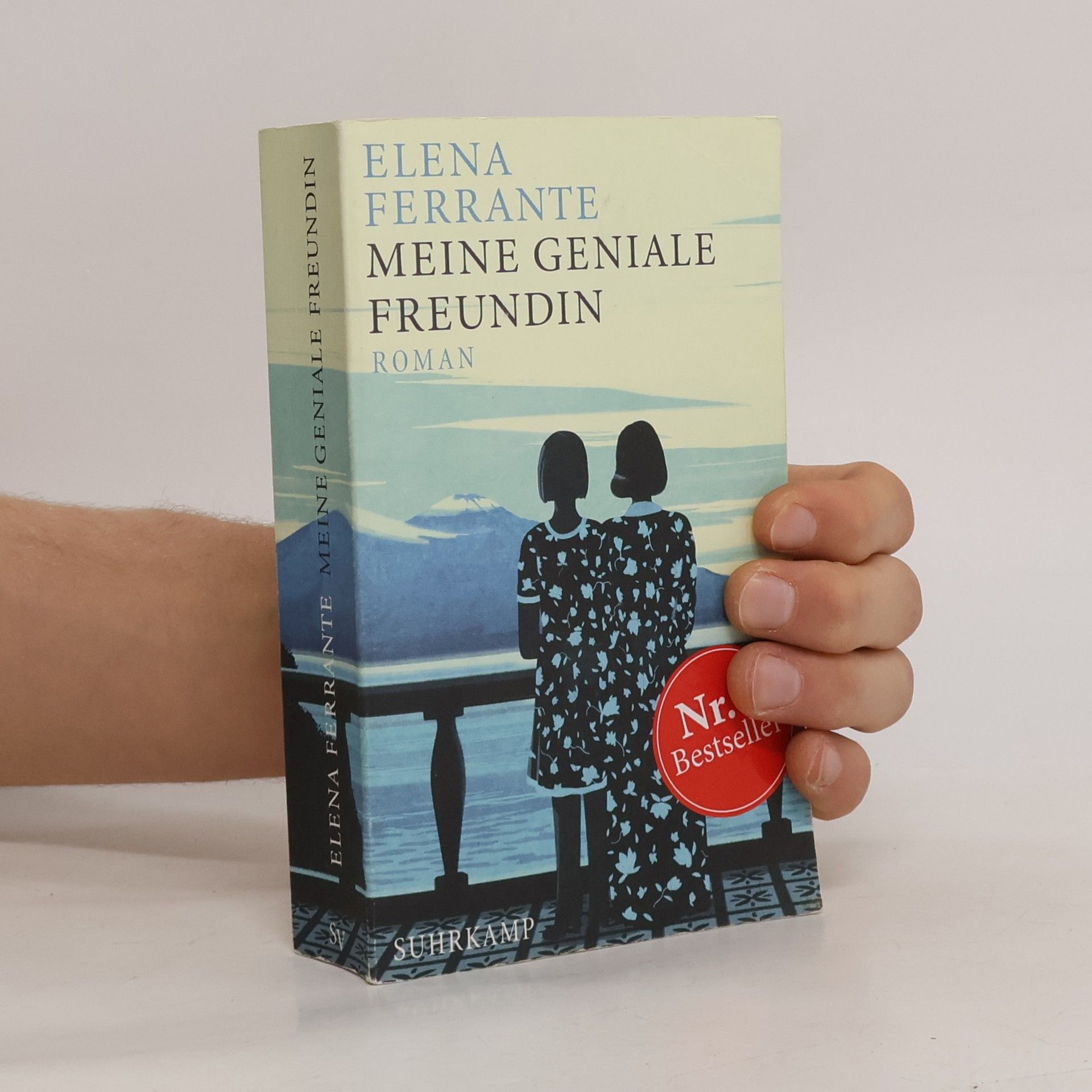 Elena Ferrante Meine geniale Freundin