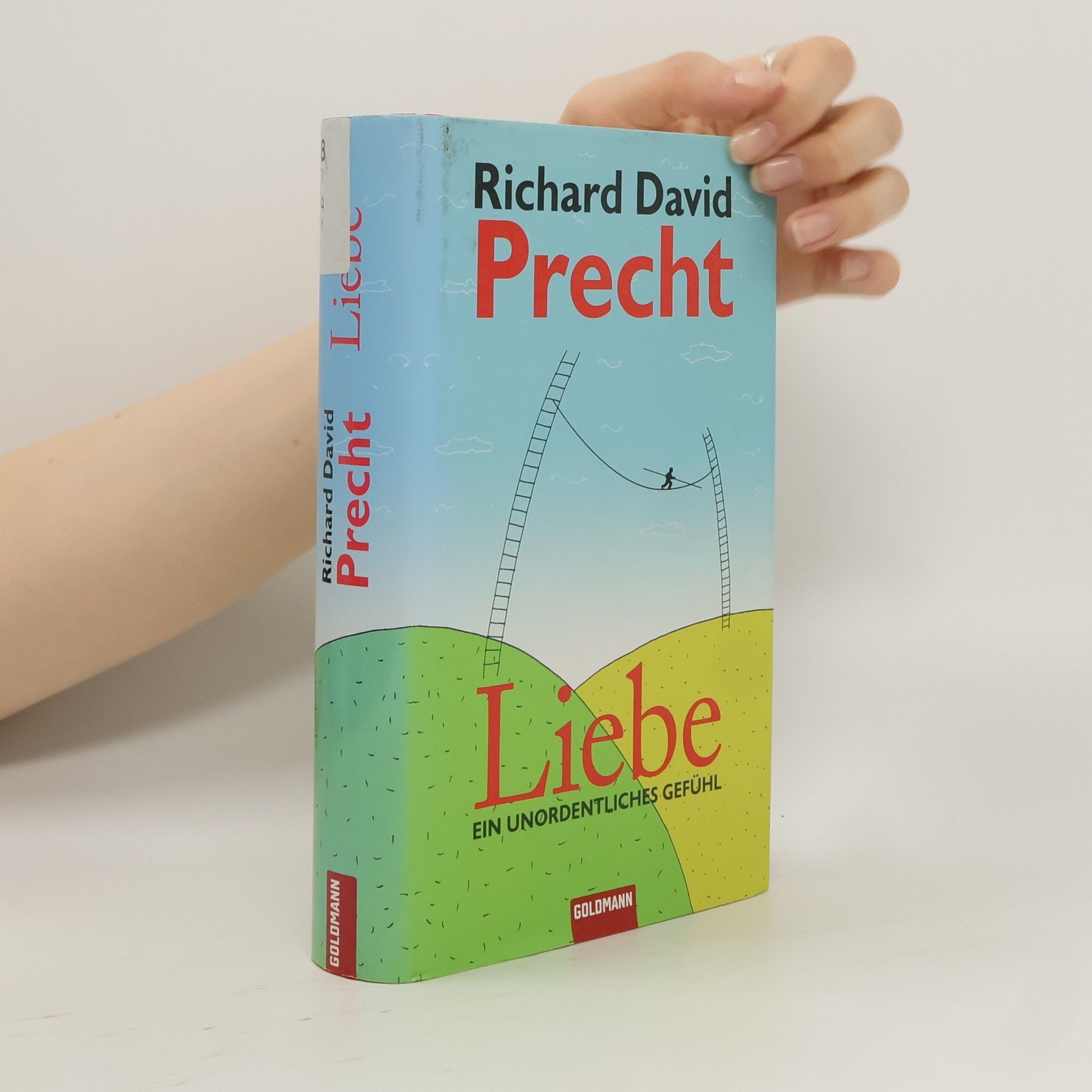 Richard David Precht Liebe ein Unordentliches Gefühl