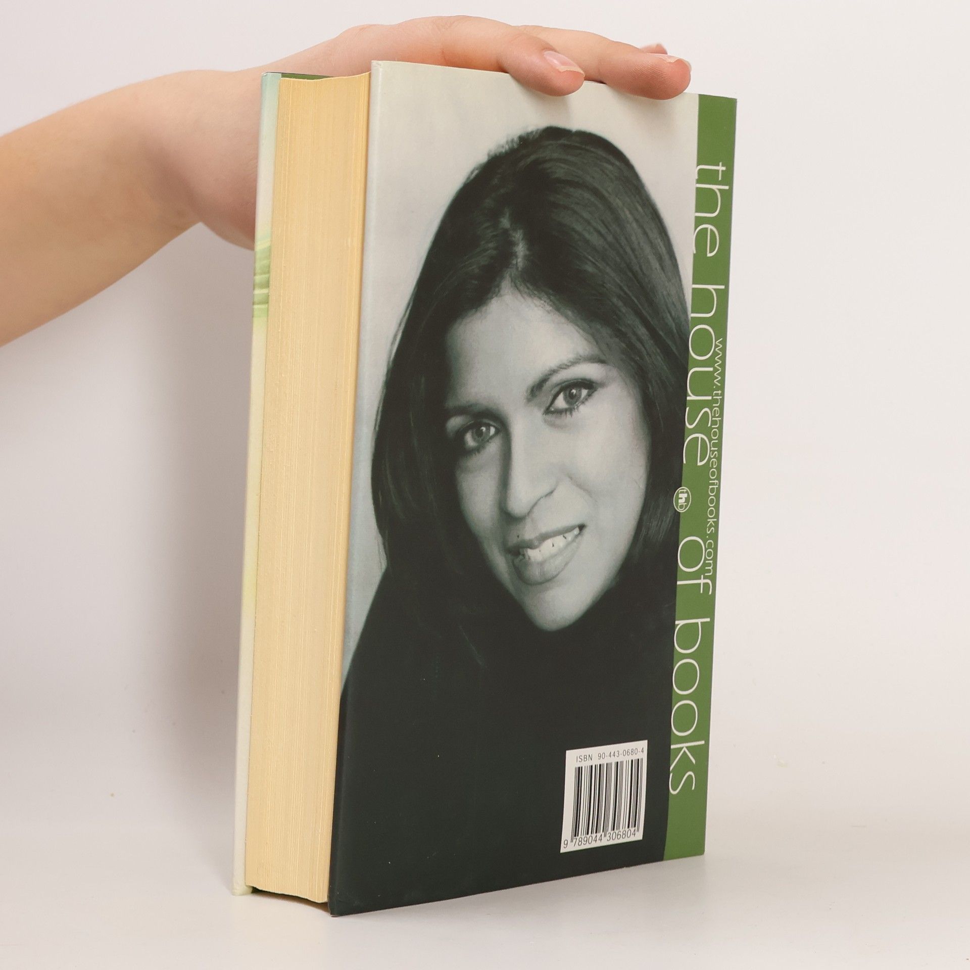 Ineke van Bronswijk De rijstmoeder