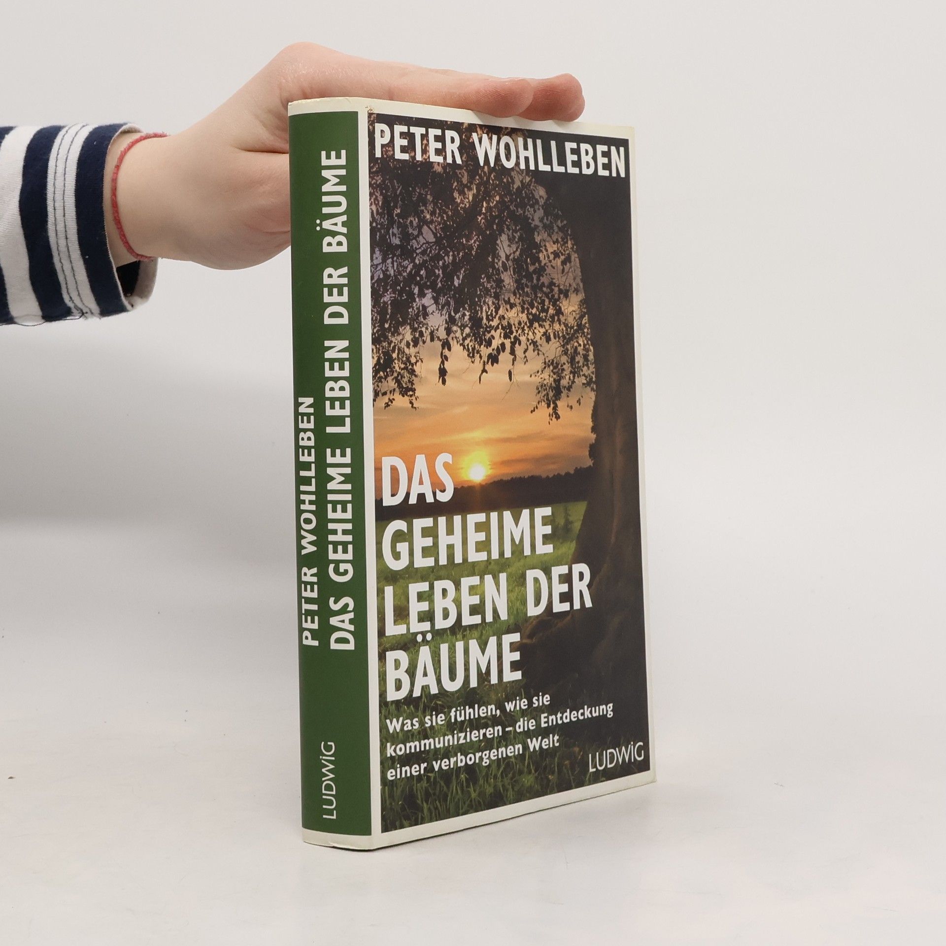 Peter Wohlleben Das geheime Leben der Bäume