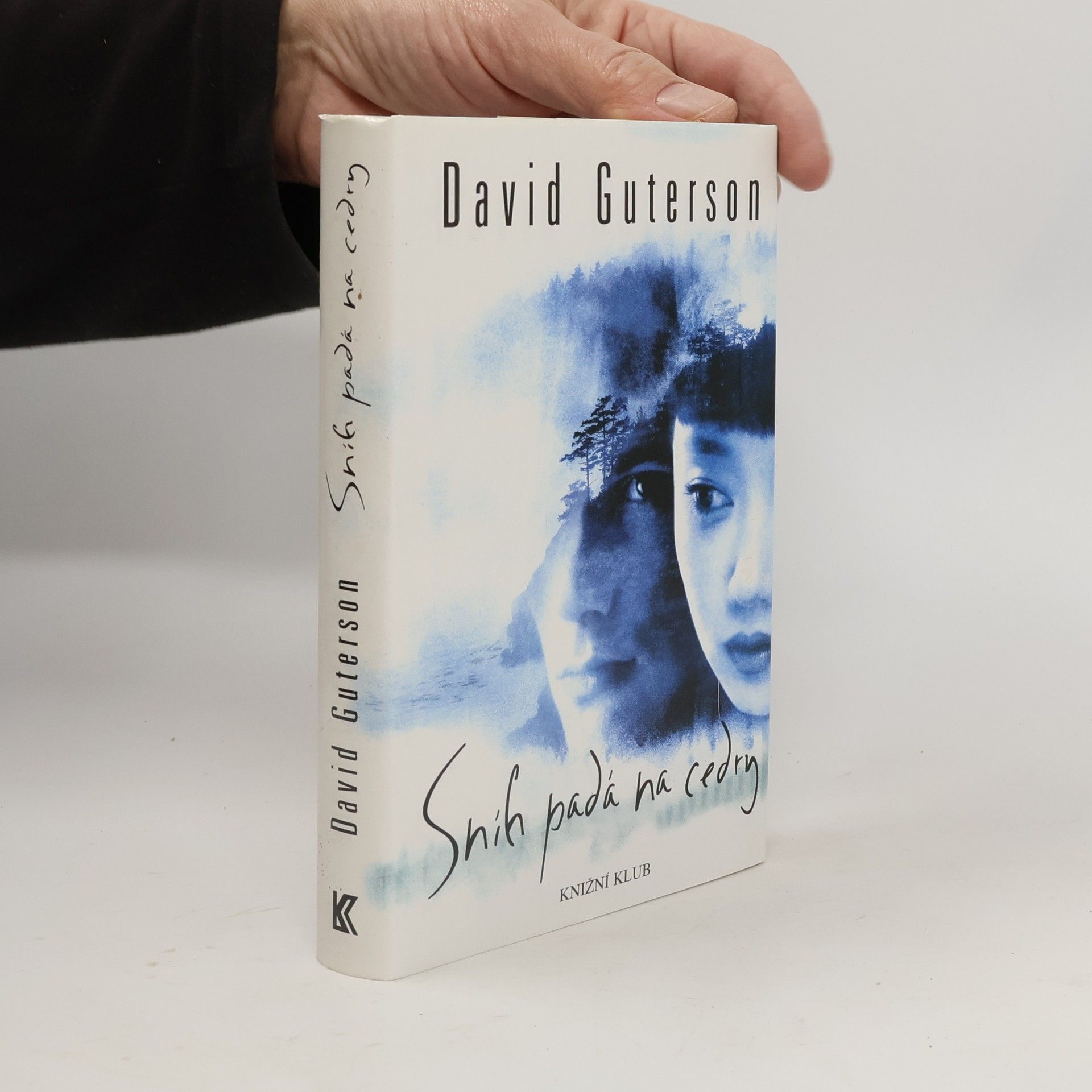 David Guterson Sníh padá na cedry