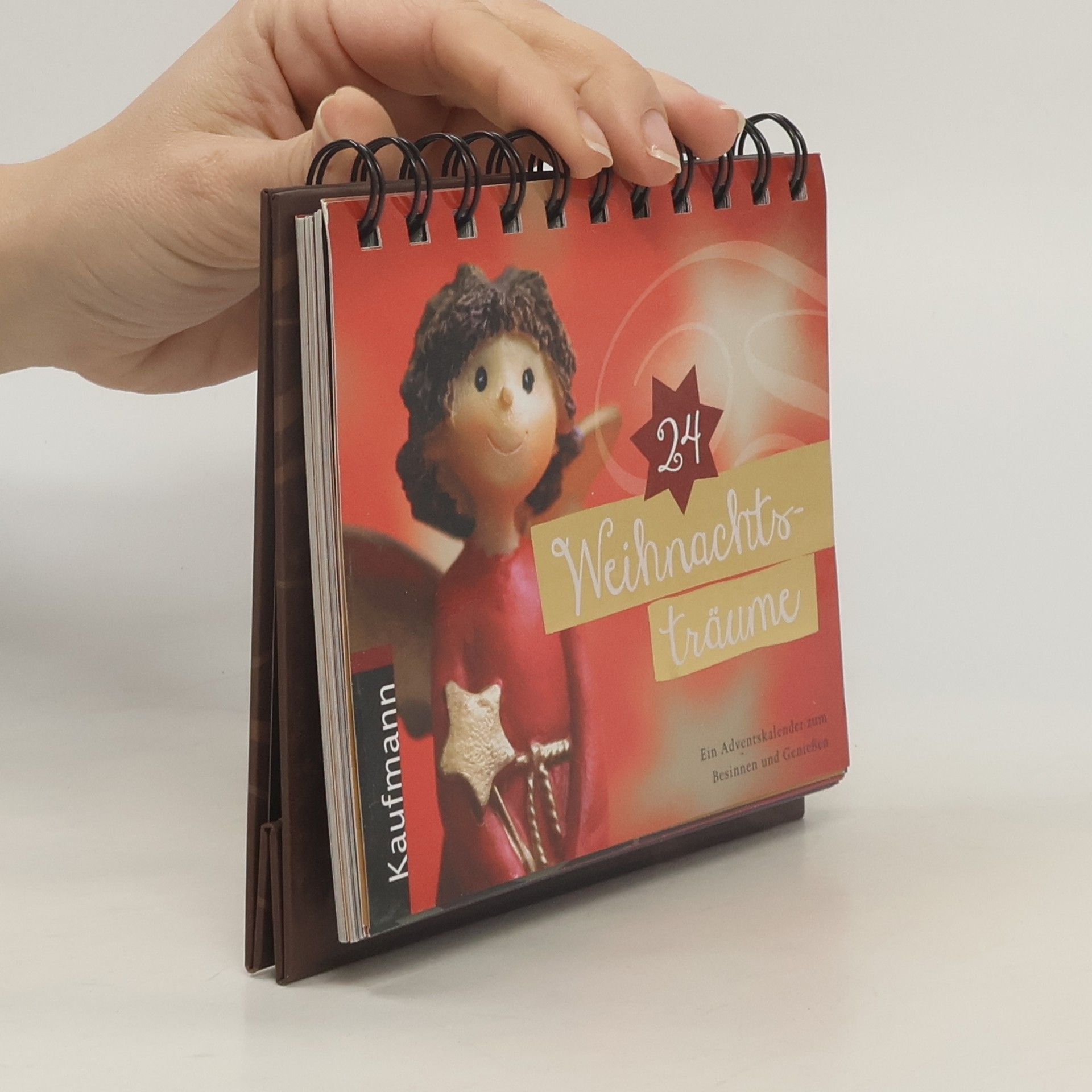 Kristin Lückel 24 Weihnachtsträume - Adventskalender zum Aufstellen