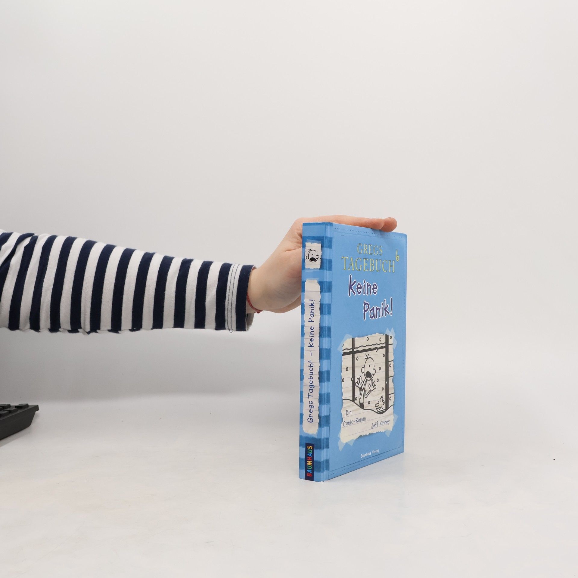Gregs Tagebuch 6. Keine Panik!