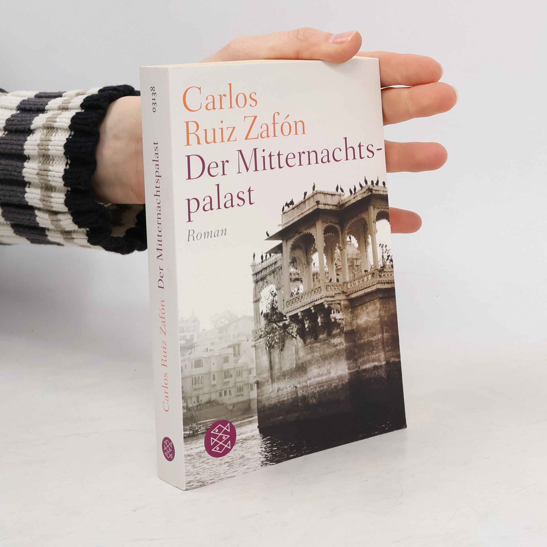 Carlos Ruiz Safon Der Mitternachtspalast