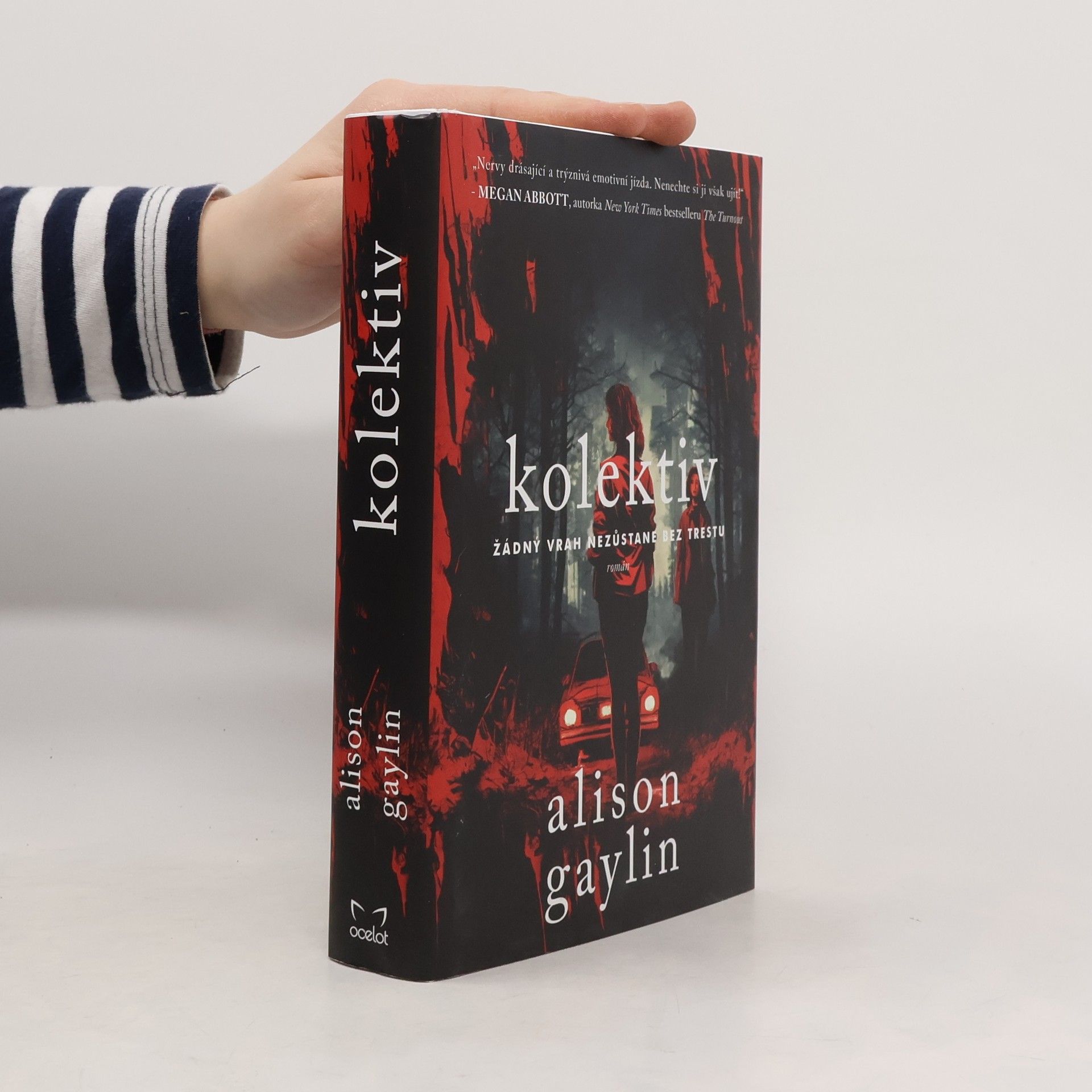 Alison Gaylin Kolektiv