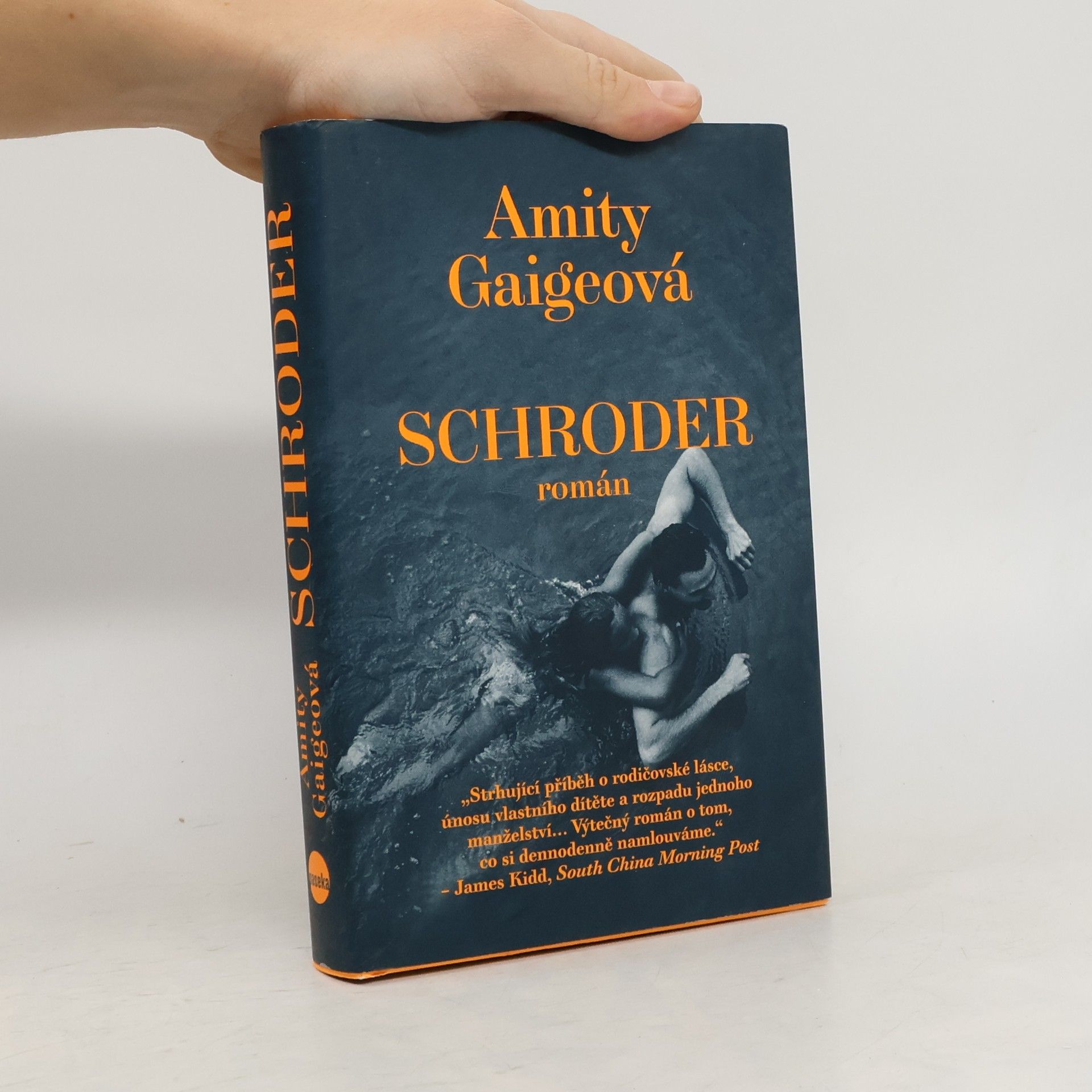 Amity Gaige Schroder