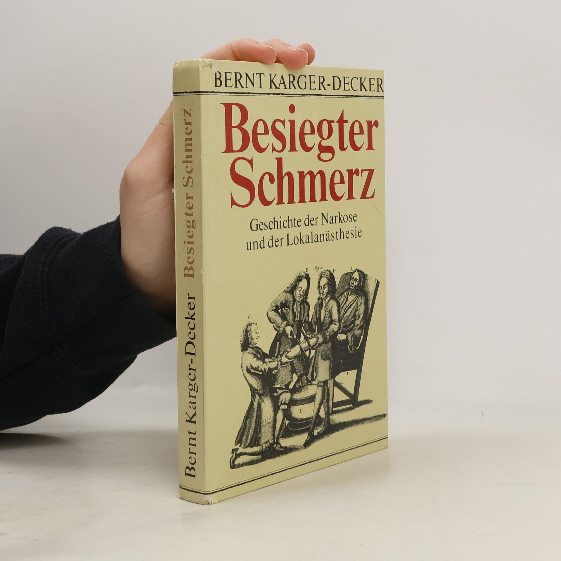 Bernt Karger Decker Besiegter Schmerz