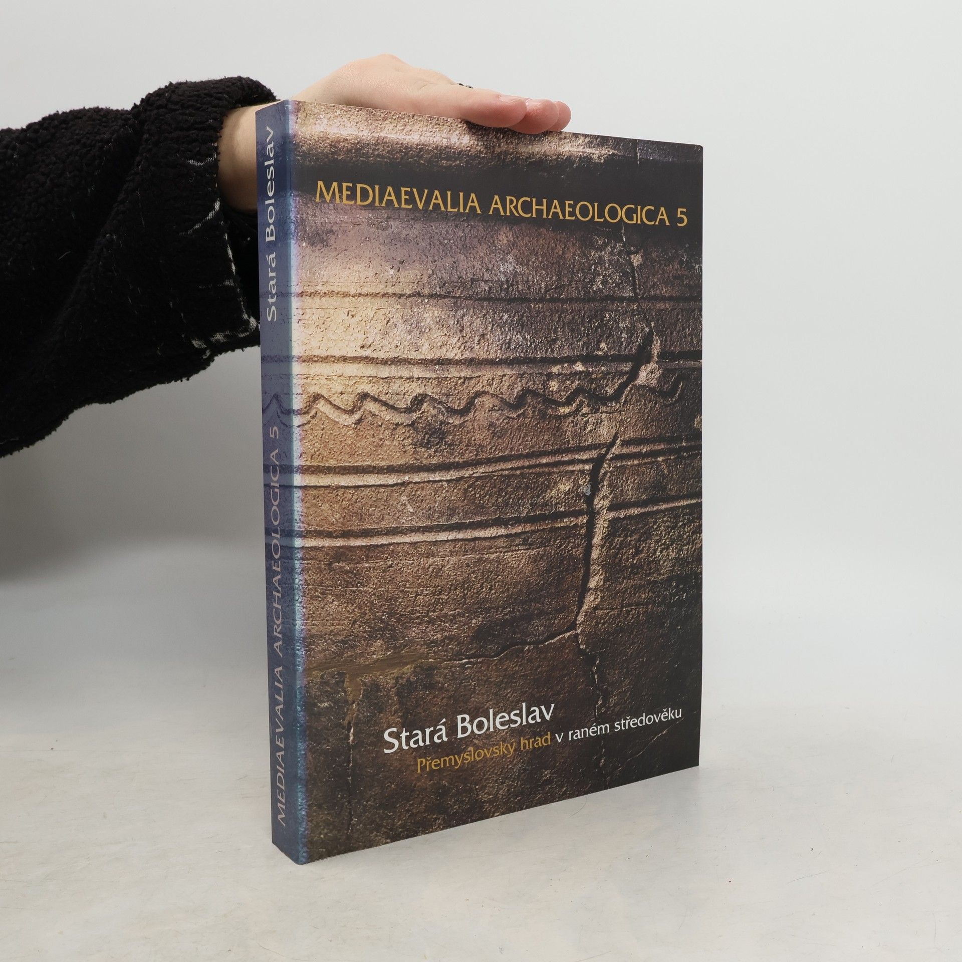 Stará Boleslav. Přemyslovský hrad v raném středověku. Stará Boleslav. Přemyslid stronghold in the Early Middle Ages. Mediaevalia Archaeologica 5