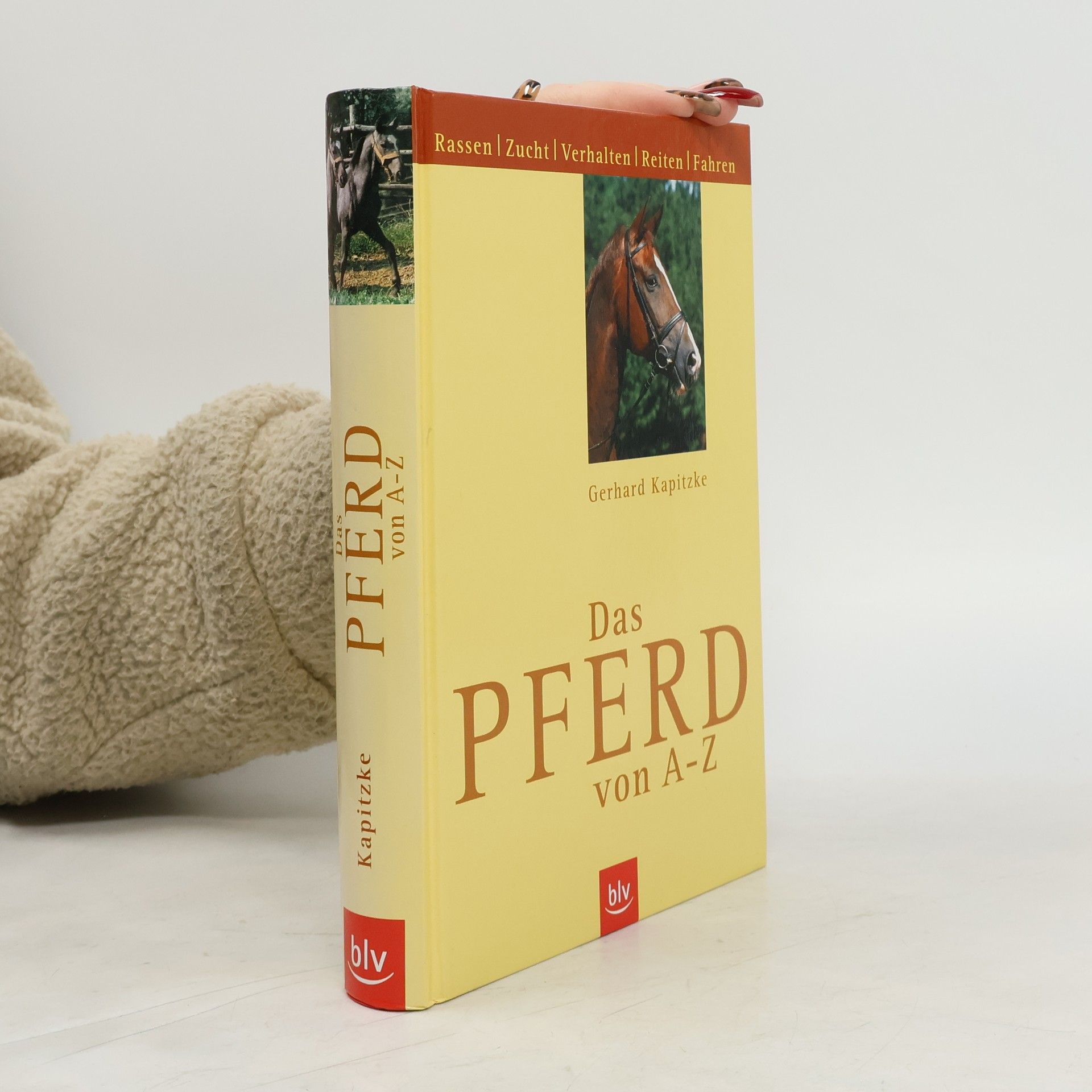 Gerhard Kapitzke Das Pferd von A - Z