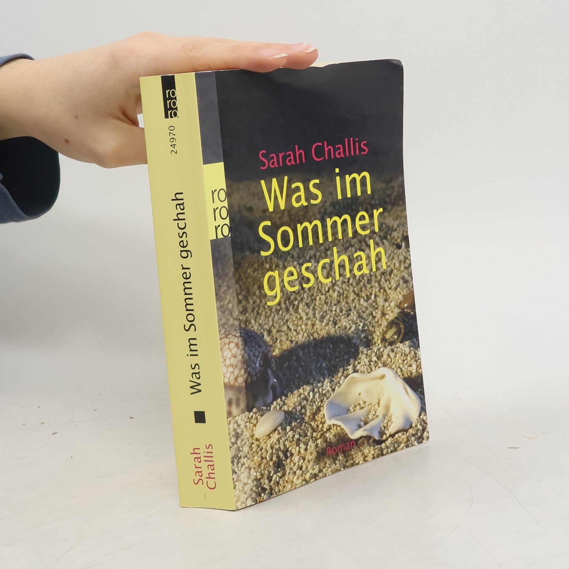 Sarah Challis Was im Sommer geschah