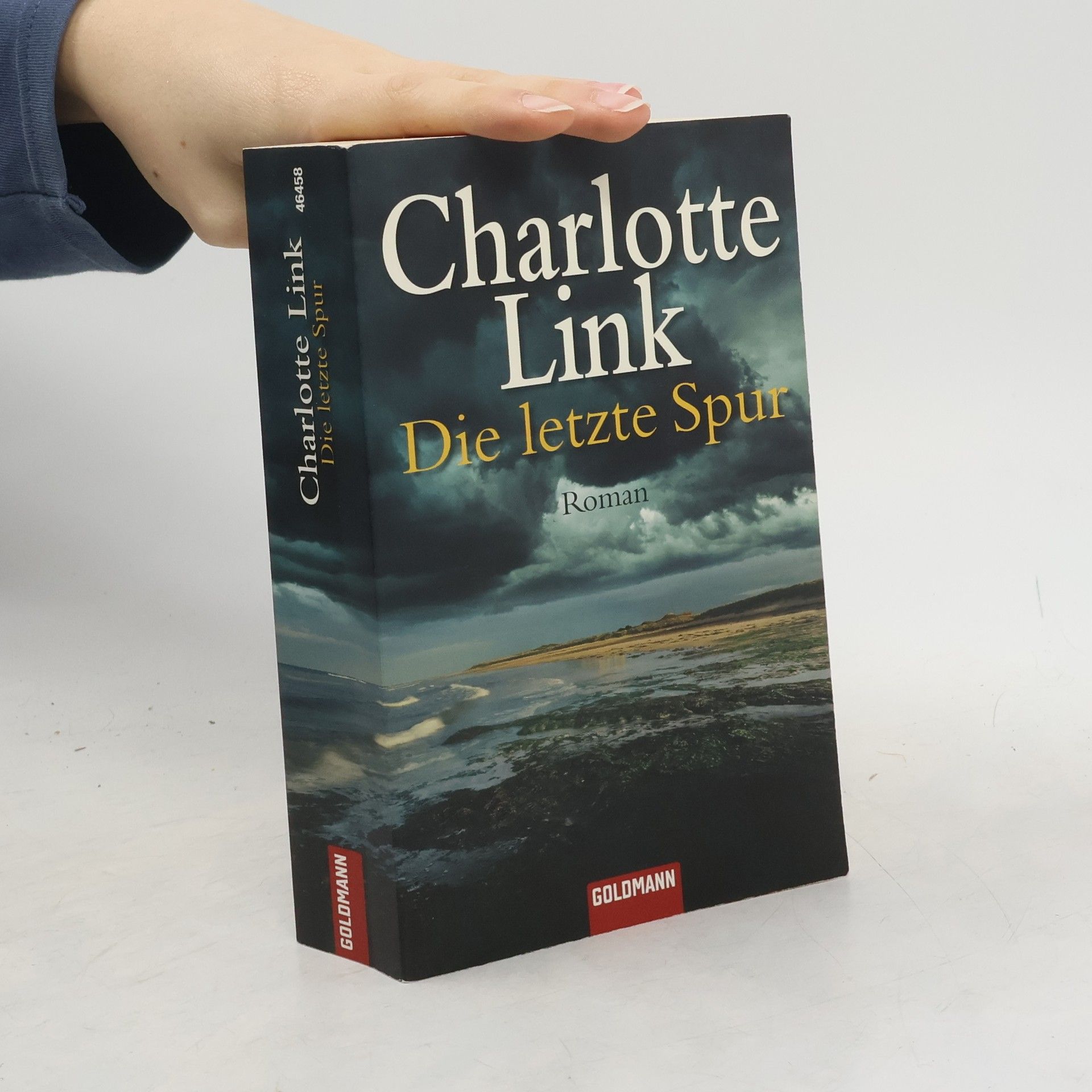 Charlotte Link Die letzte Spur