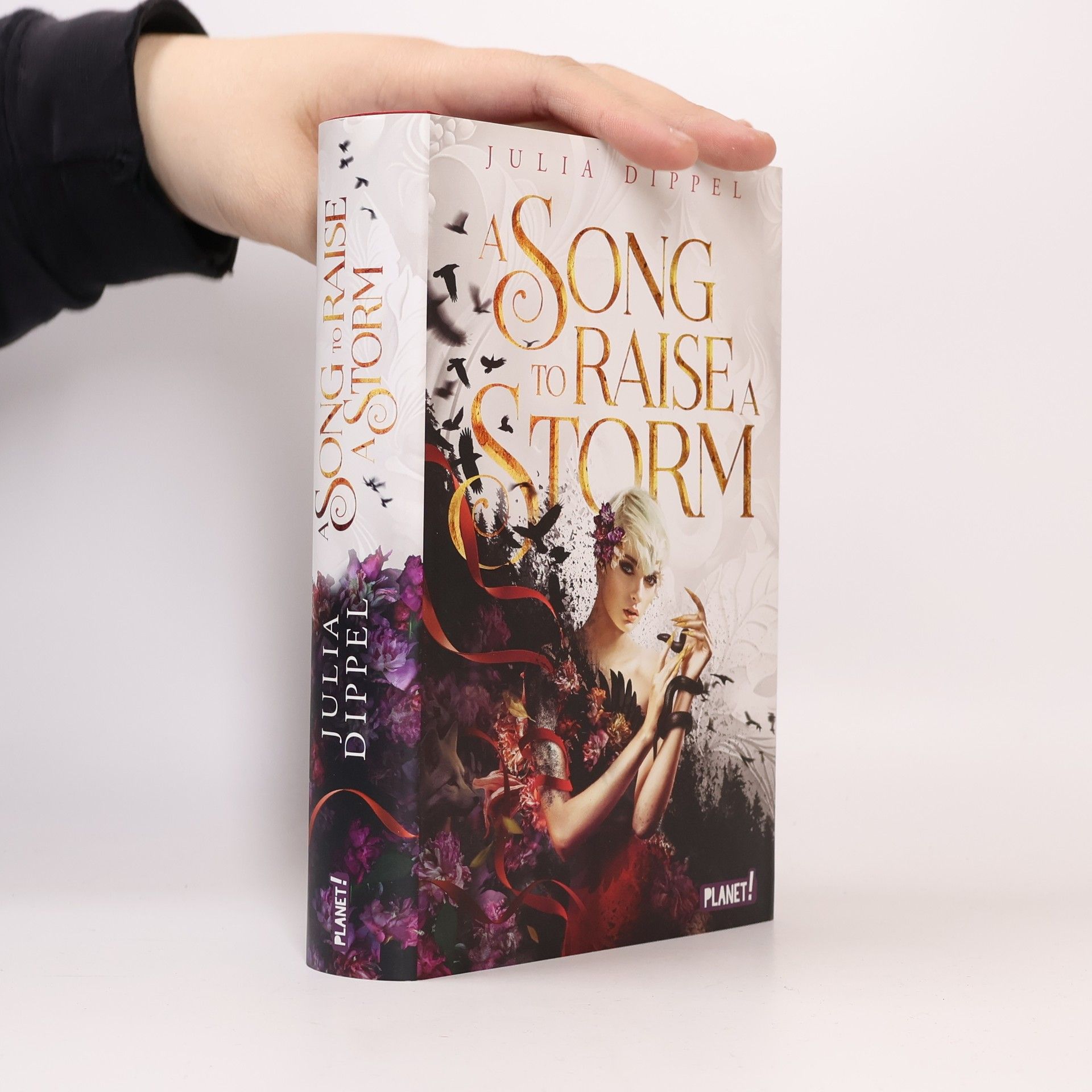 Julia Dippel Die Sonnenfeuer-Ballade 1: A Song to Raise a Storm