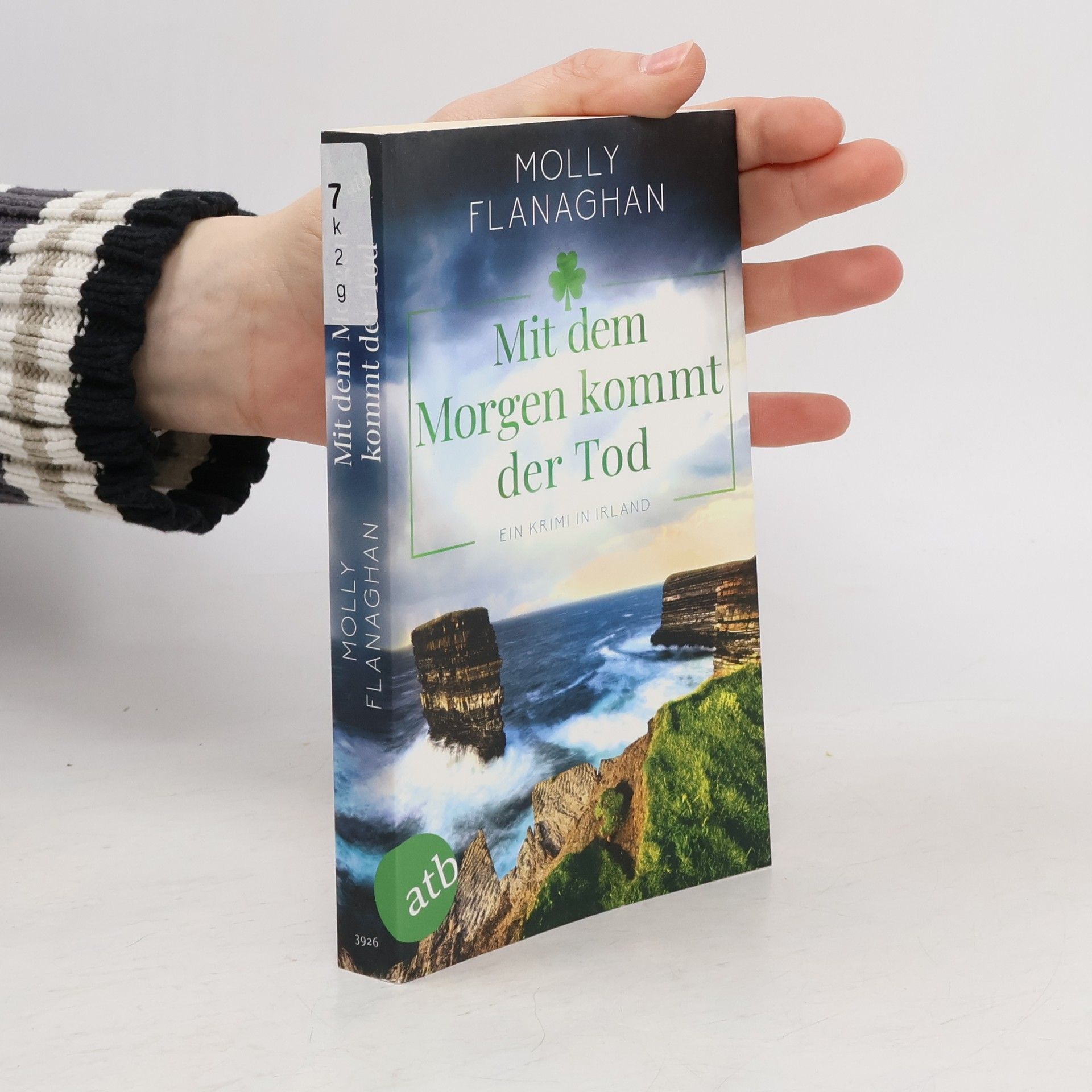 Molly Flanaghan Mit dem Morgen kommt der Tod