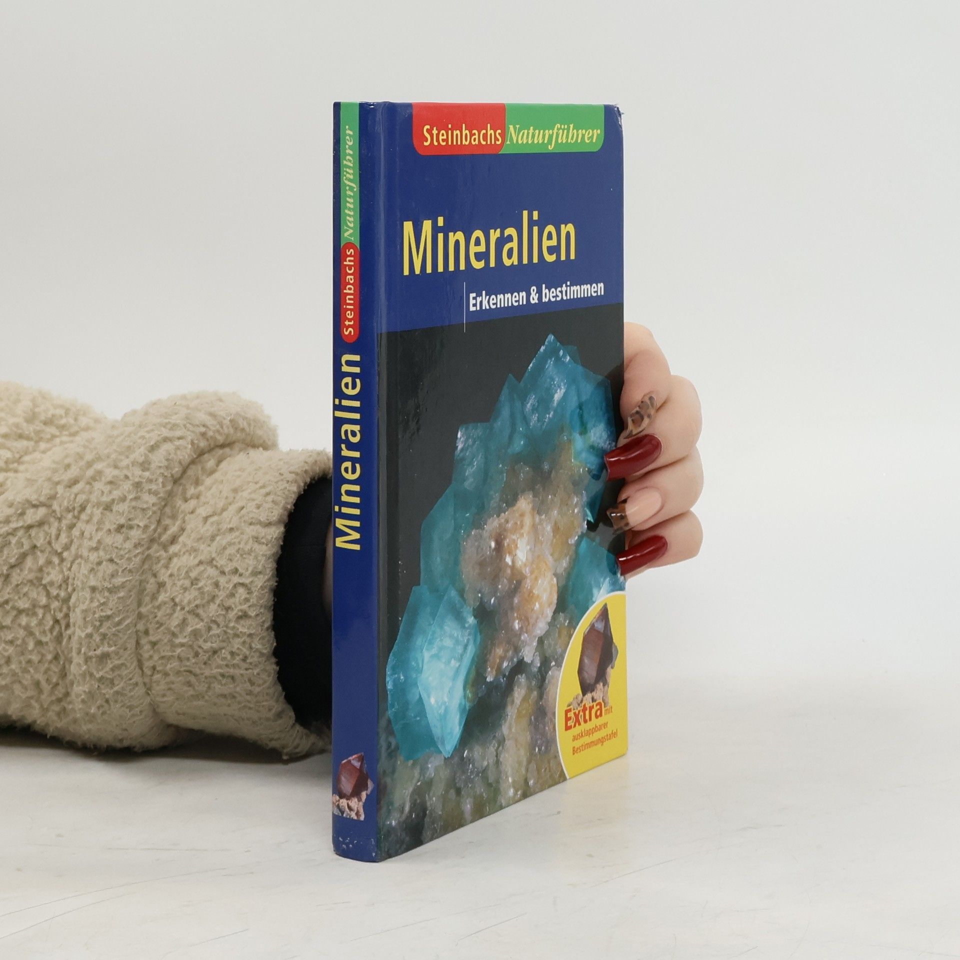 Autorenkollektiv Mineralien. Erkennen und bestimmen