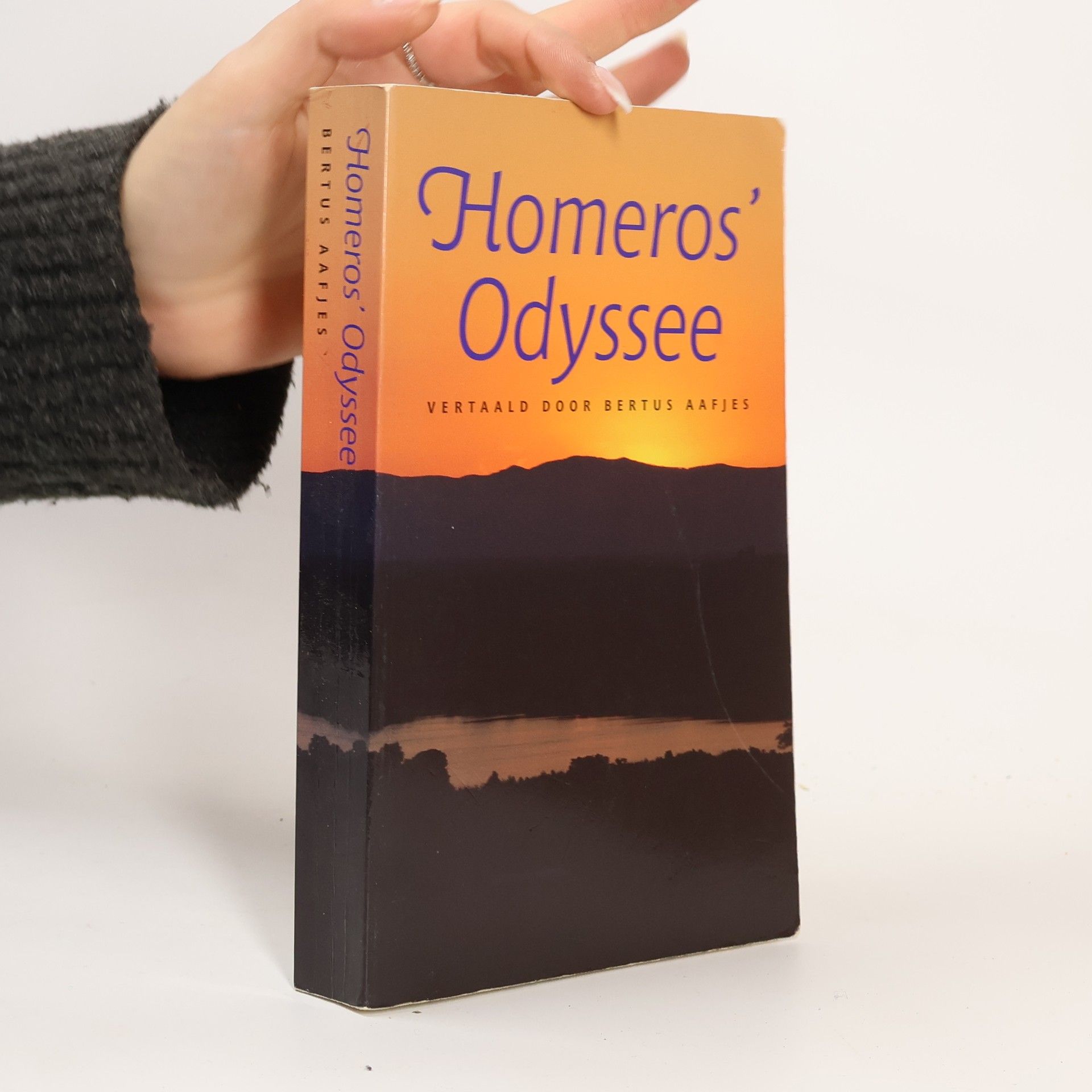 Homère Odyssee
