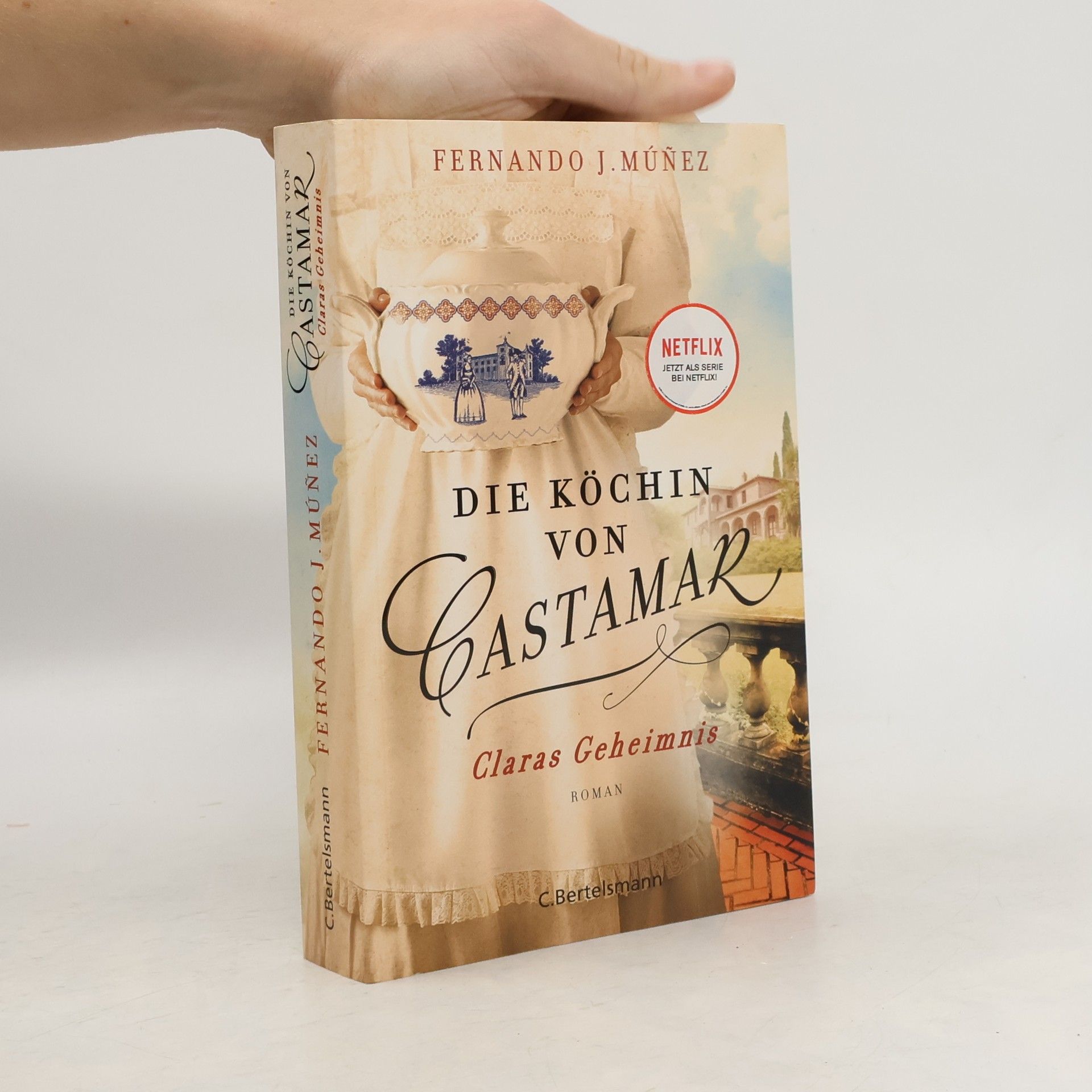 Fernando J. Múñez Die Köchin von Castamar