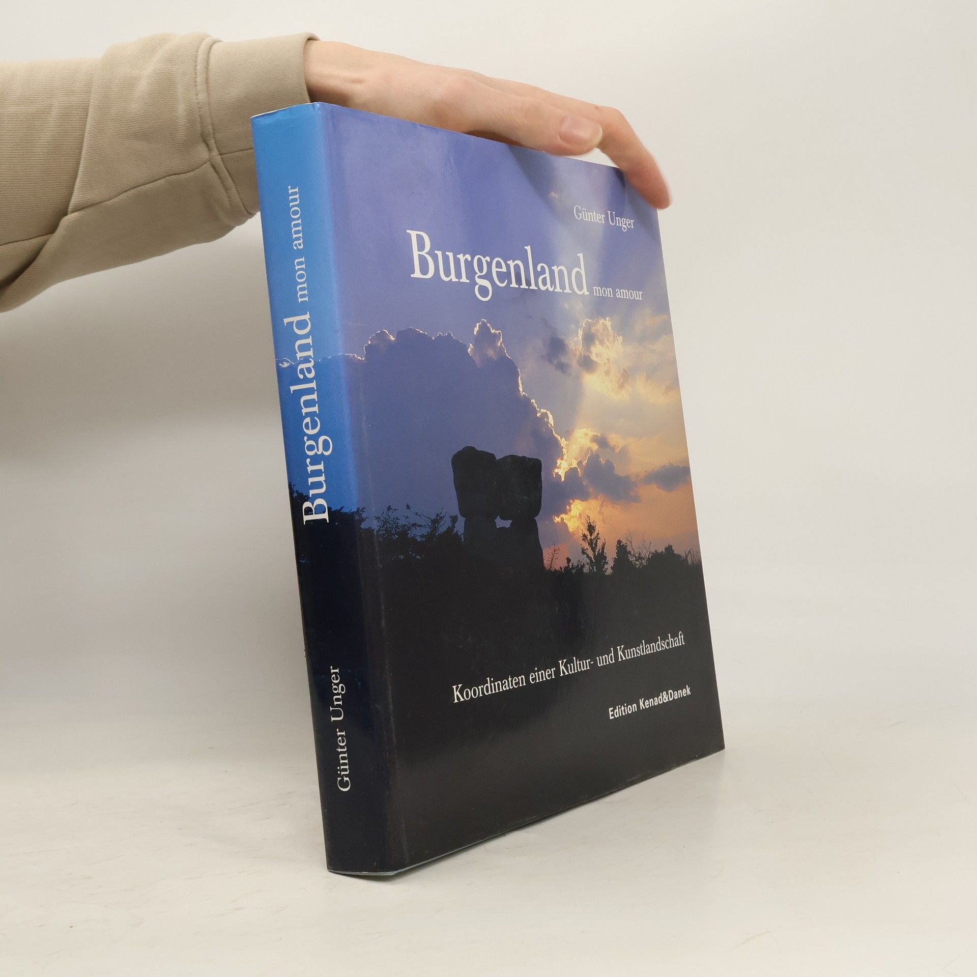 Burgenland mon amour: Koordinaten einer Kultur- und Kunstlandschaft