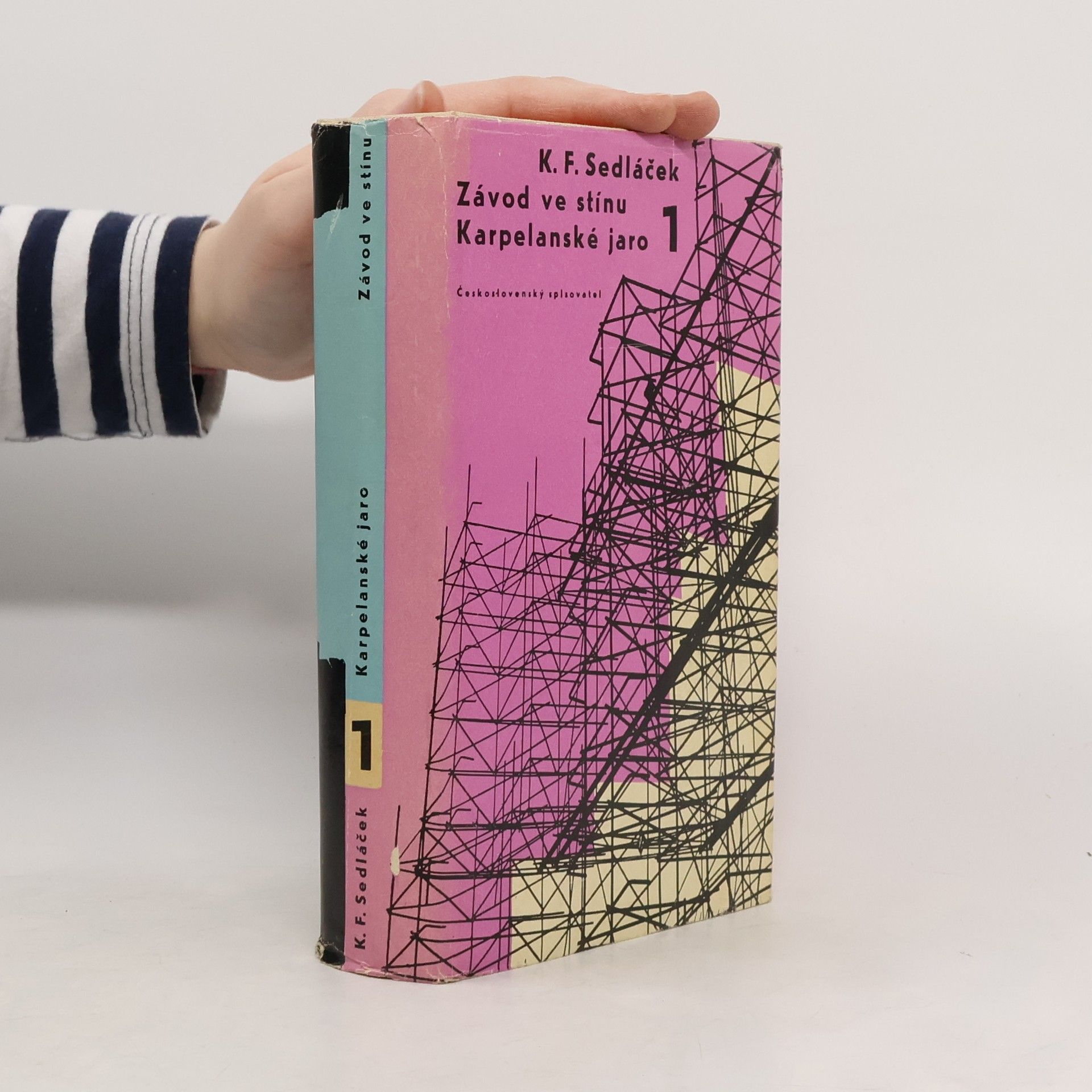 Závod ve stínu / Karpelanské jaro 1