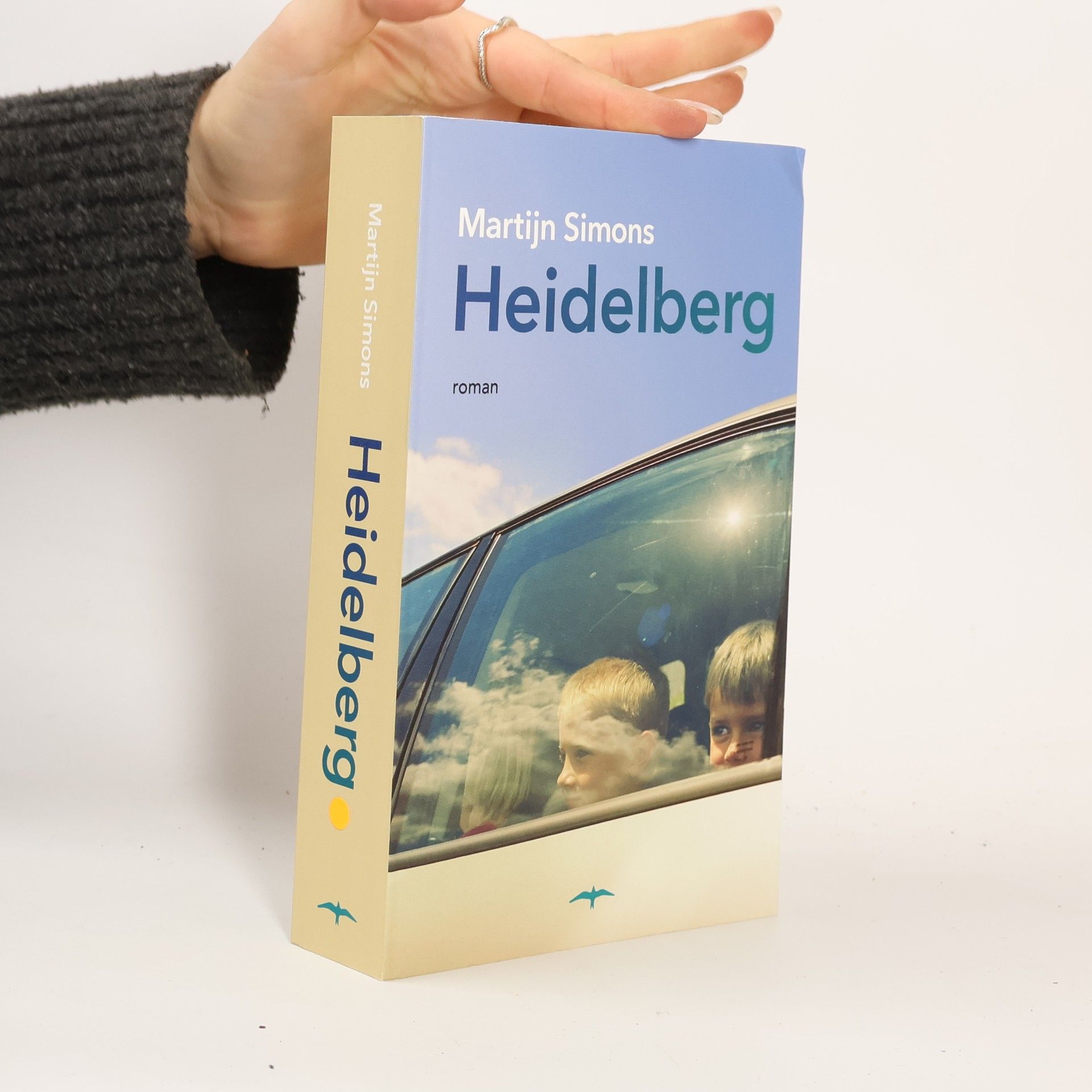 Martijn Simons Heidelberg