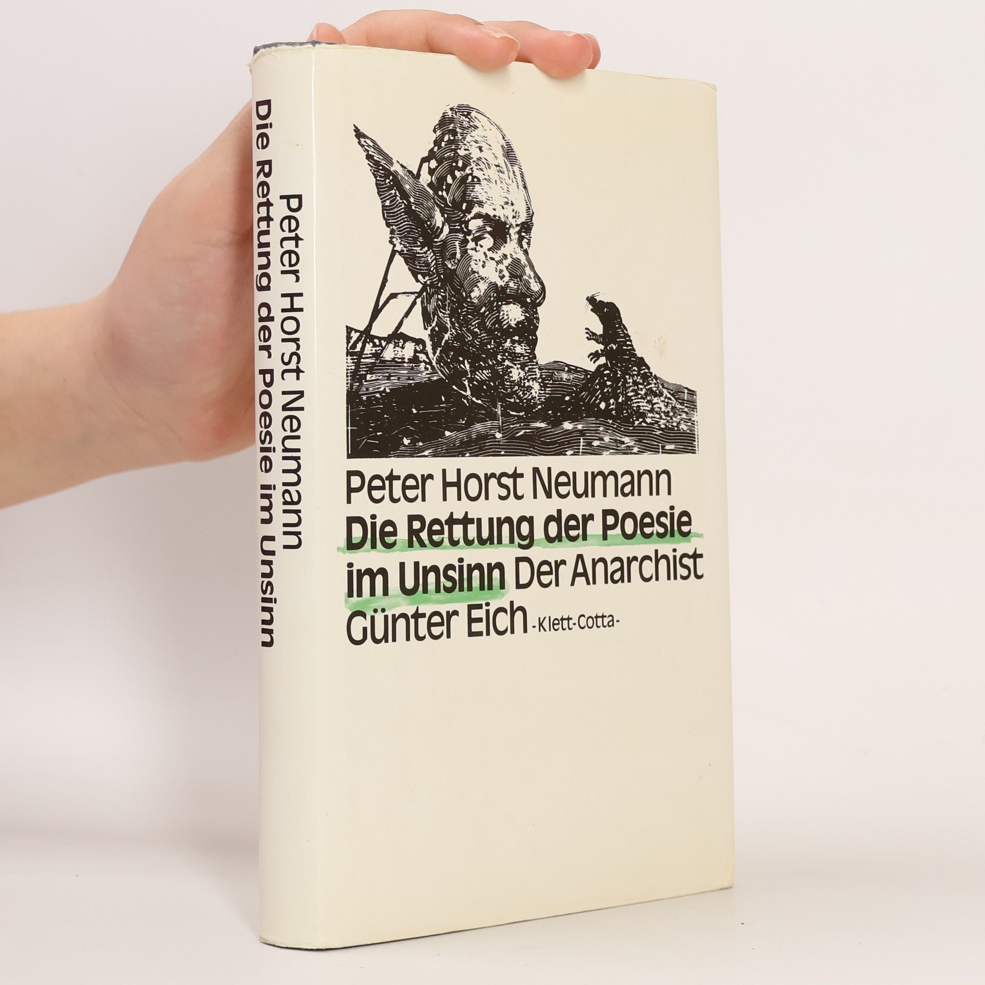 Die Rettung der Poesie im Unsinn