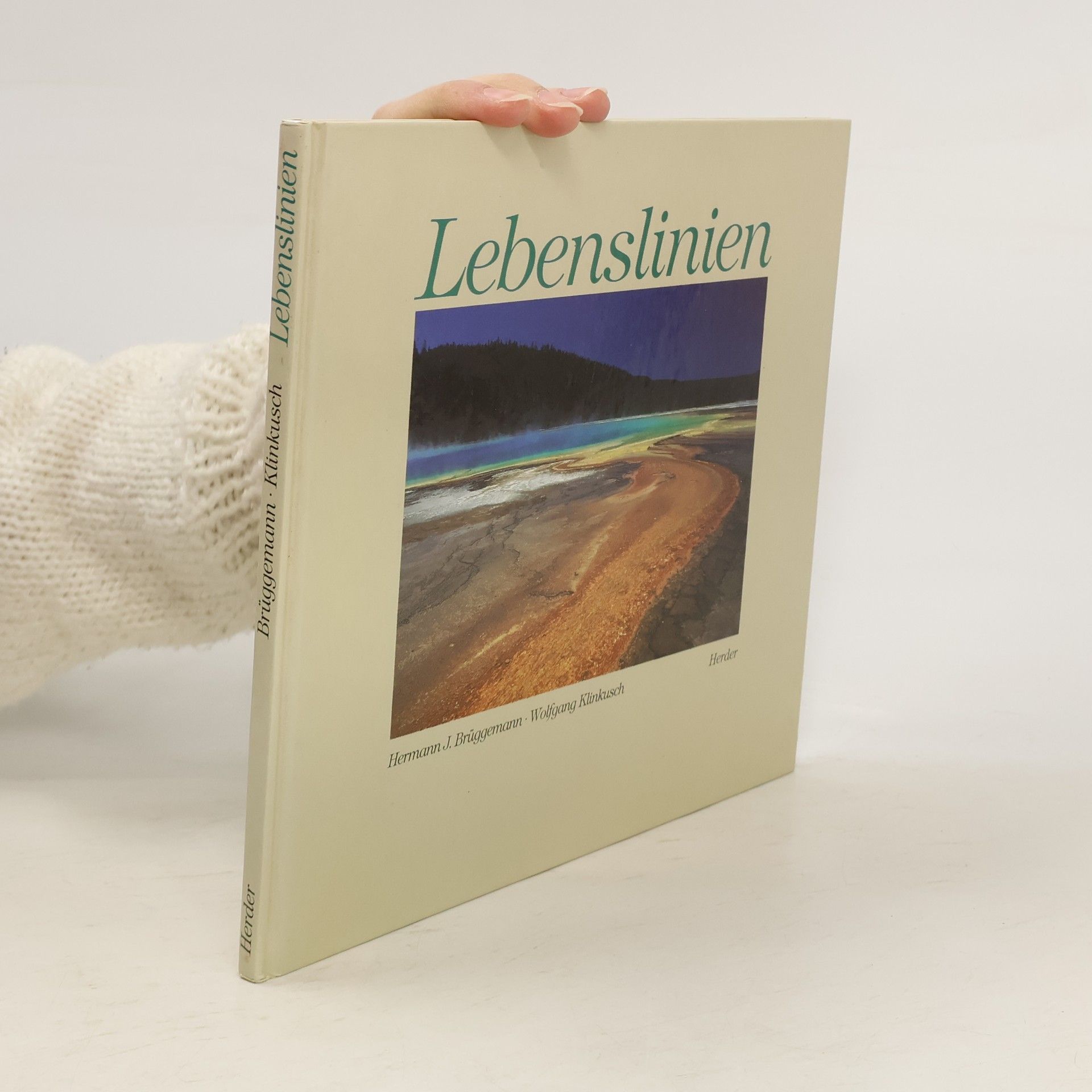 Autores varios Lebenslinien