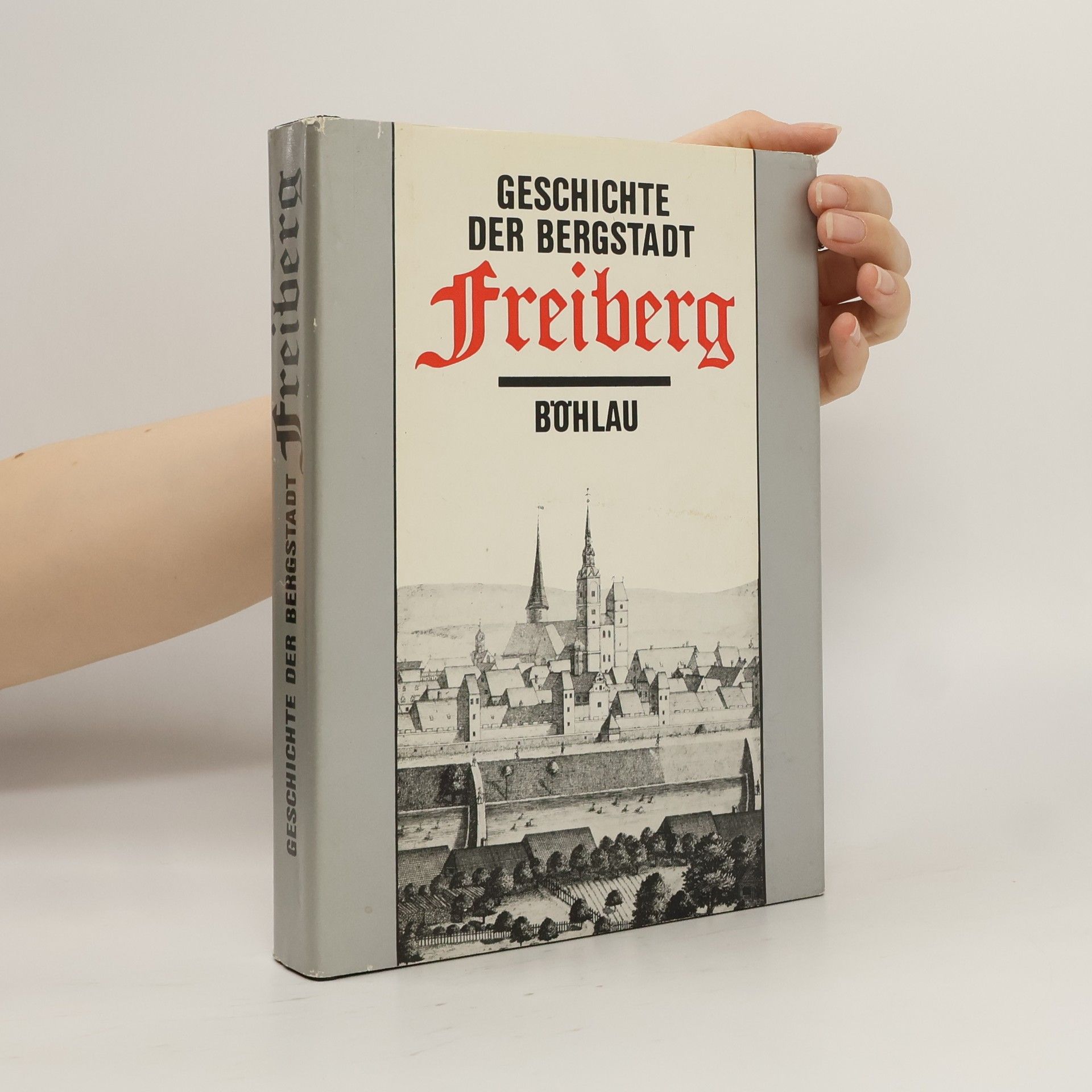 Geschichte der Bergstadt Freiberg
