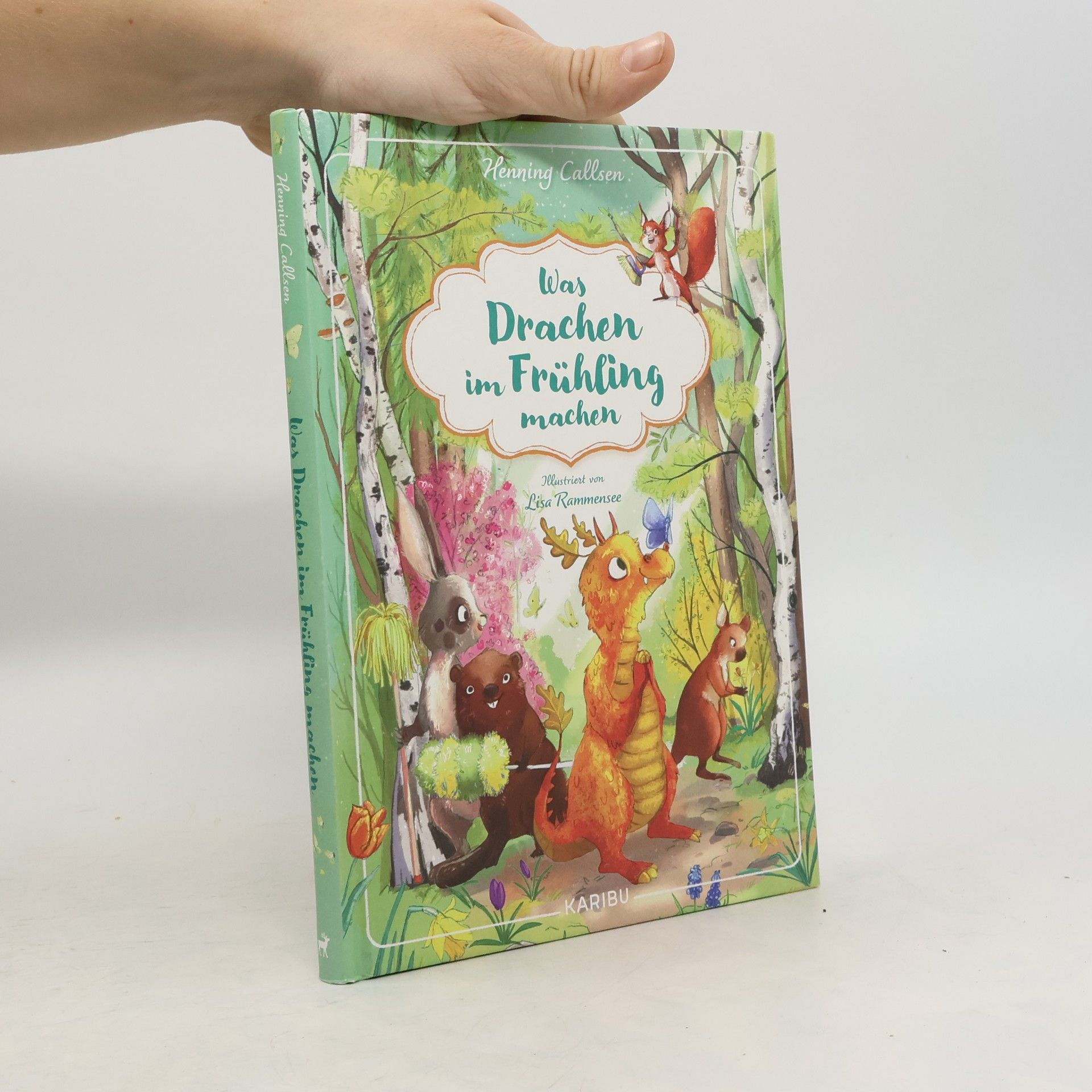 Henning Callsen Was Drachen im Frühling machen