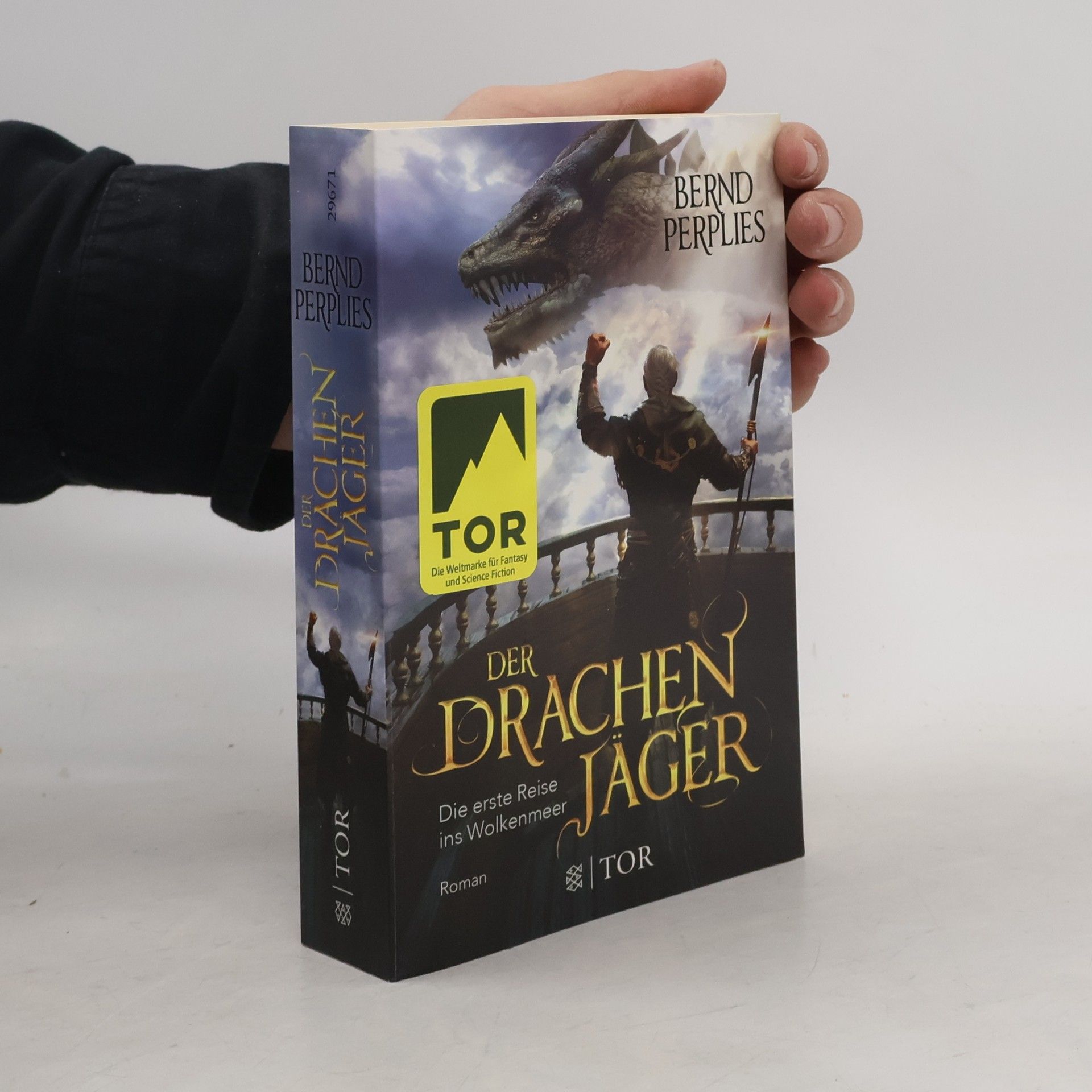 Bernd Perplies Der Drachenjäger