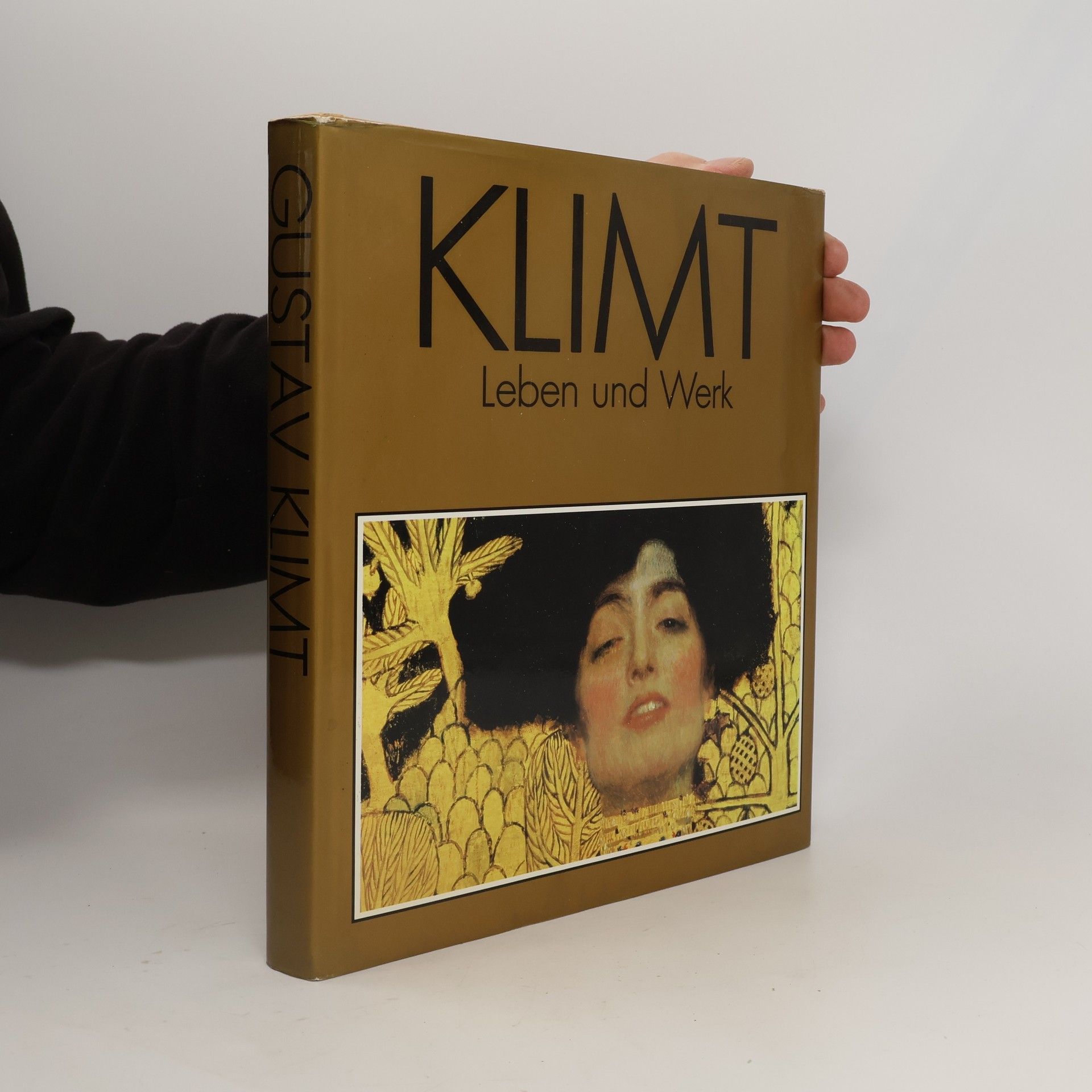 Gustav Klimt Klimt. Leben und Werk
