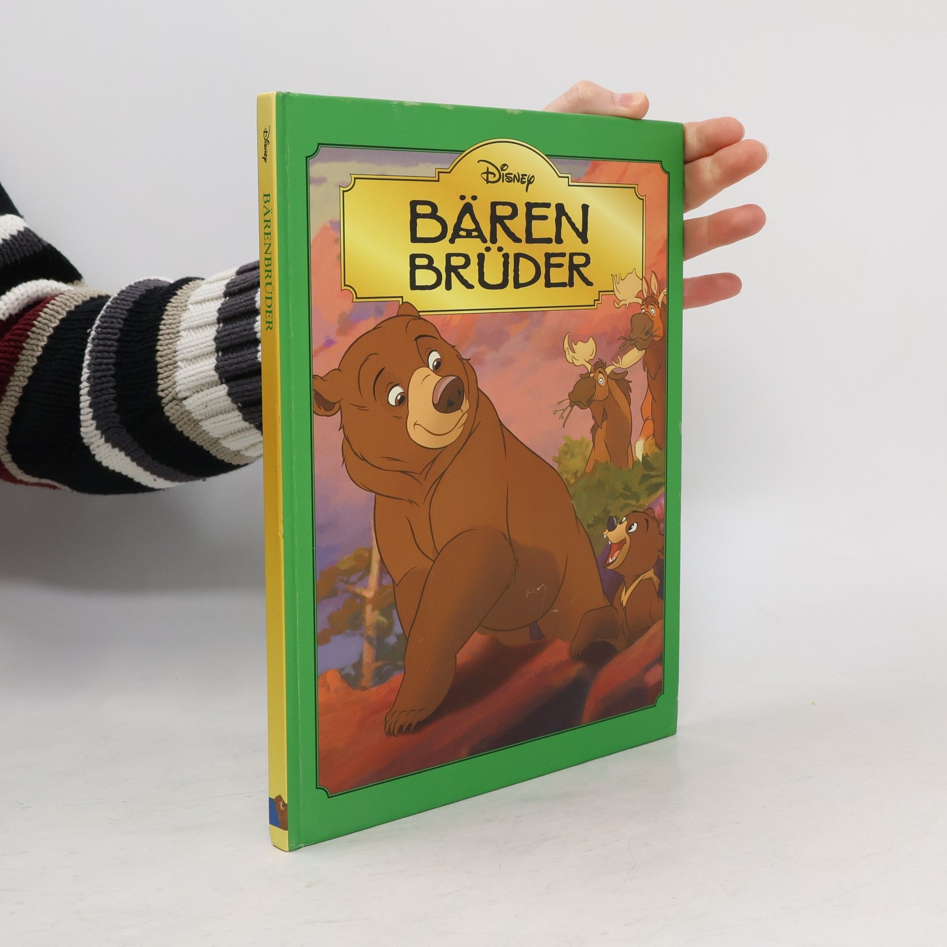 AA.VV. Bärenbrüder