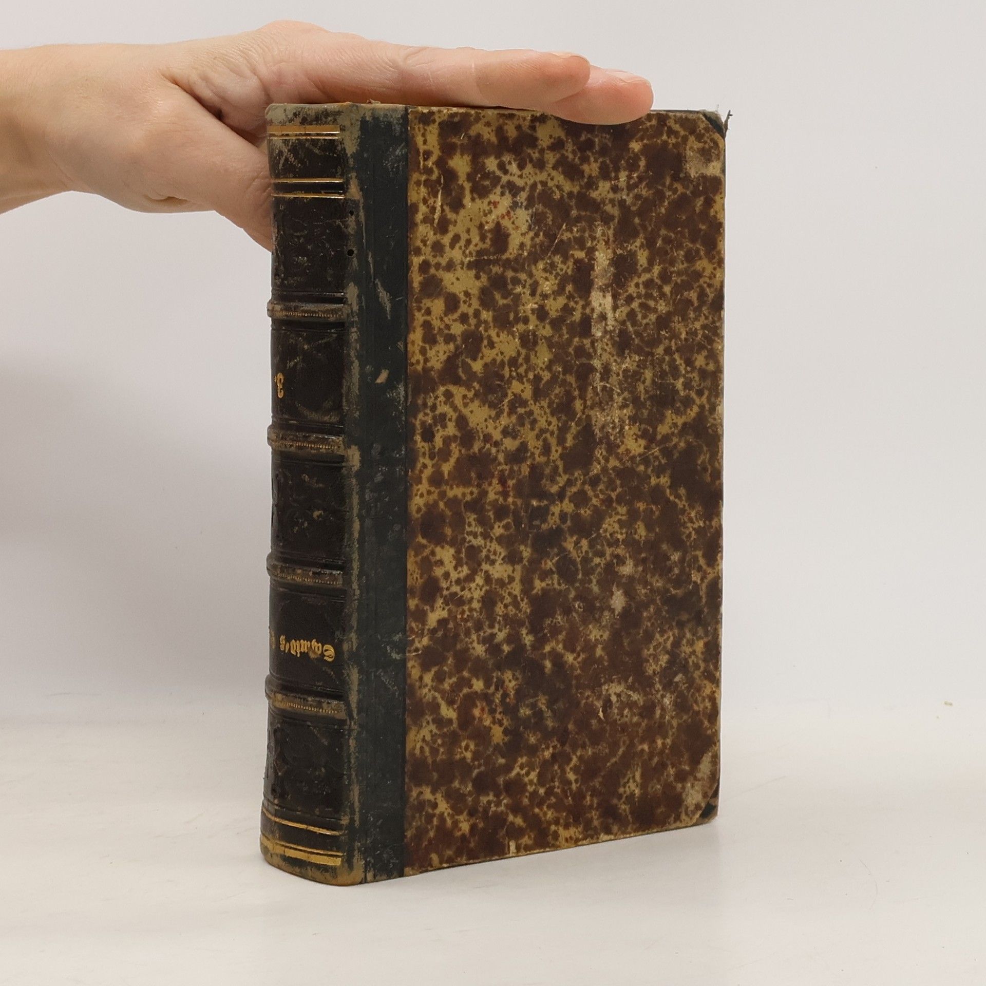 Hermann von Schmid Gesammelte Schriften 8. Alte und neue Geschichten