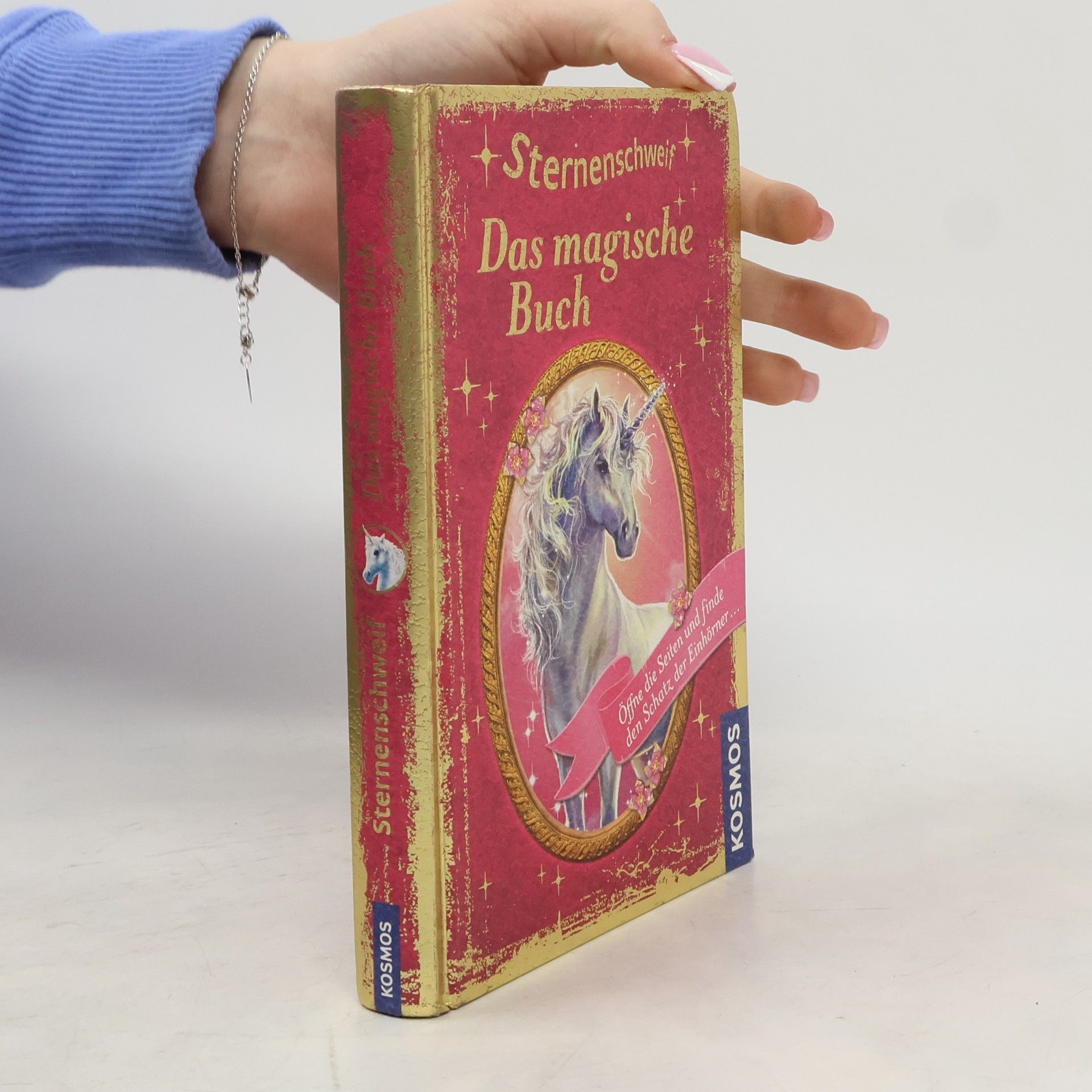 Carolin Ina Schröter Sternenschweif - das magische Buch