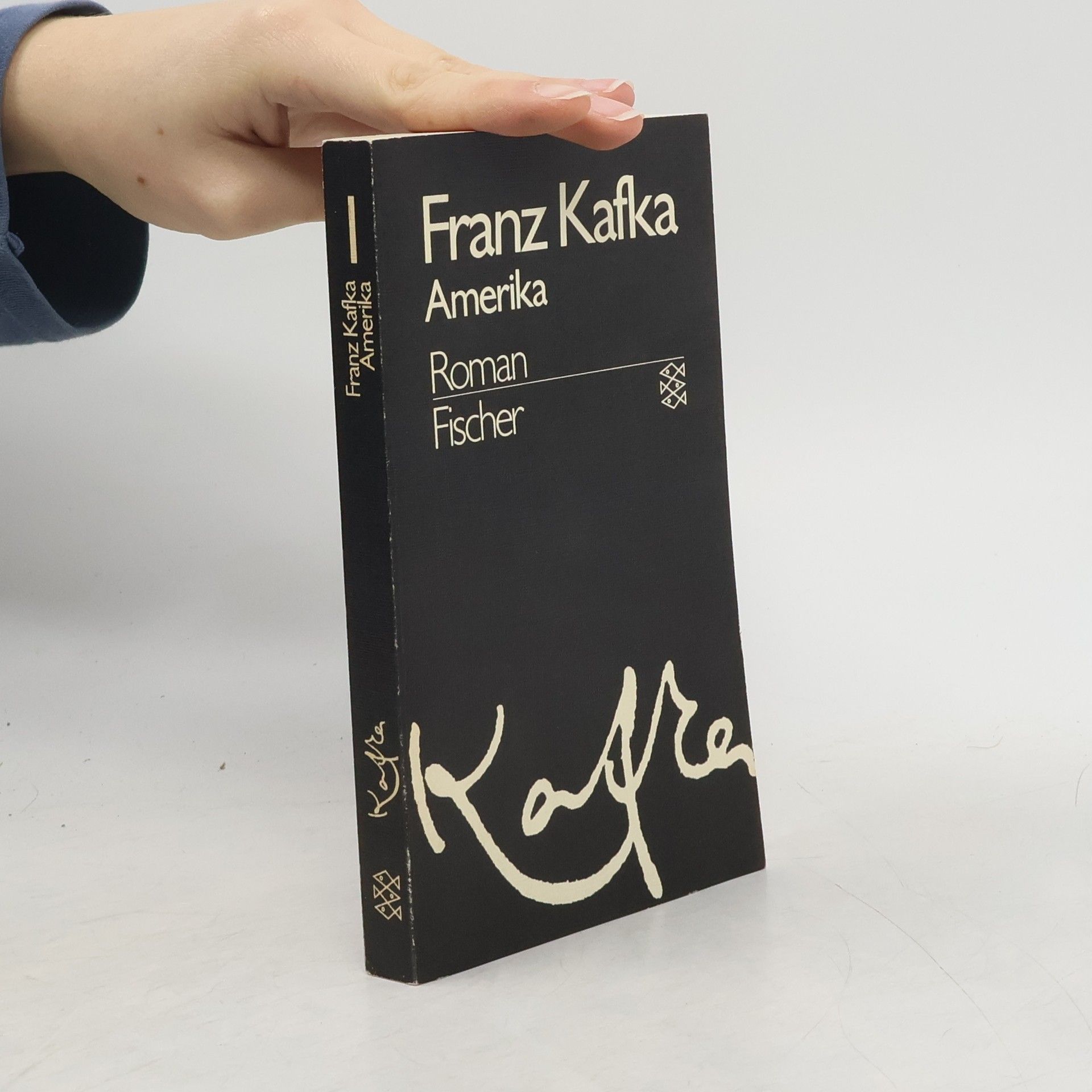 Franz Kafka Gesammelte Werke 1. Amerika