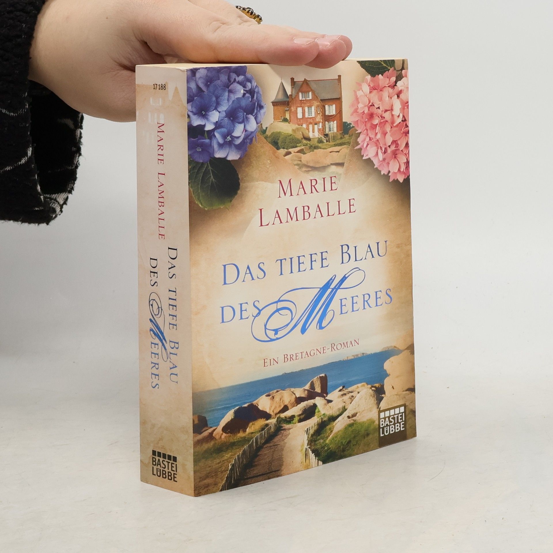 Anne Jacobs Das tiefe Blau des Meeres