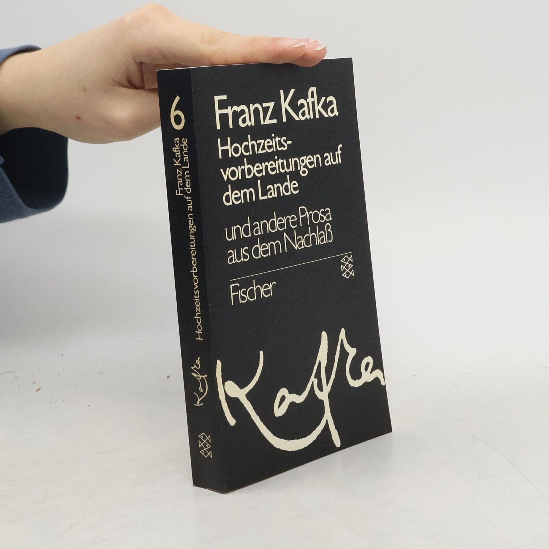 Franz Kafka Gesammelte Werke 1. Amerika