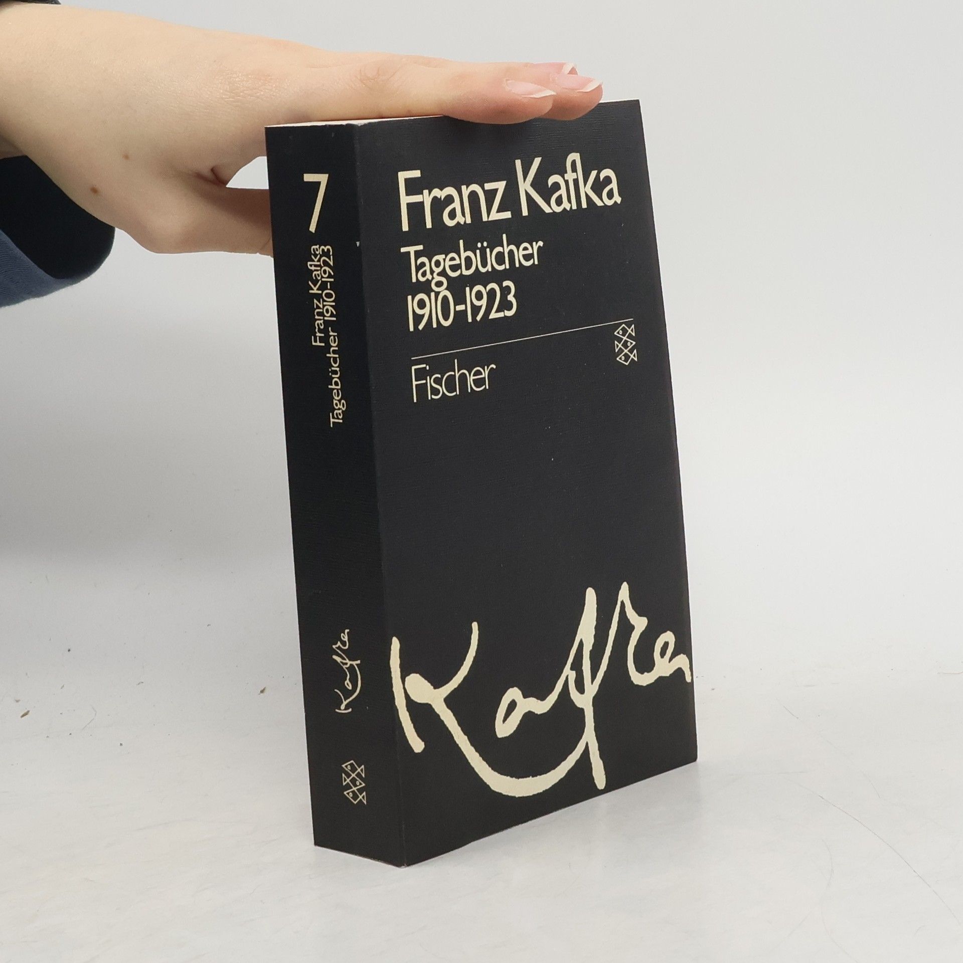 Franz Kafka Gesammelte Werke 1. Amerika