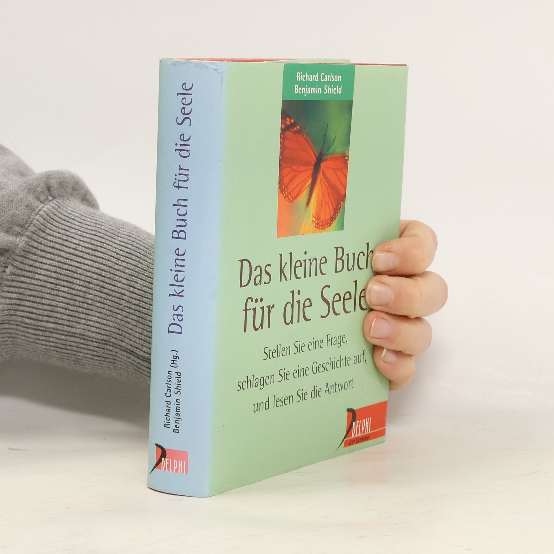 Richard Carlson Das kleine Buch für die Seele