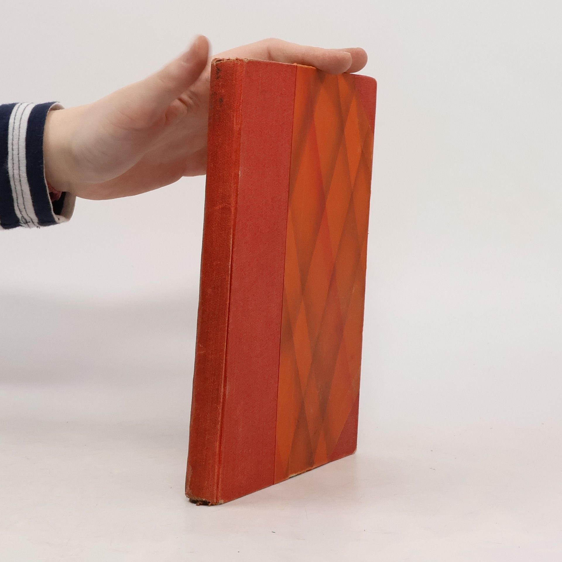 E. Procházková V koloběhu světů II. Róza