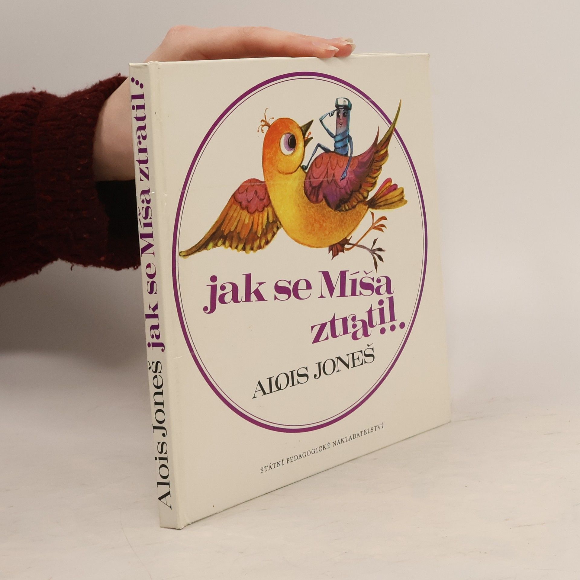 Jak se Míša ztratil a zase našel