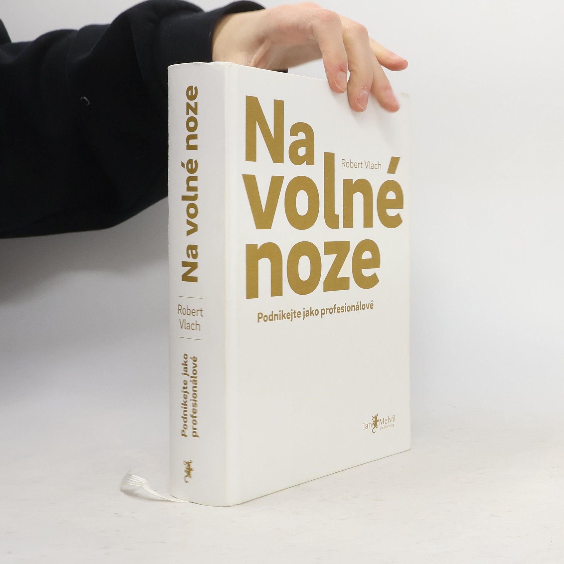 Robert Vlach (podnikatel) Na volné noze