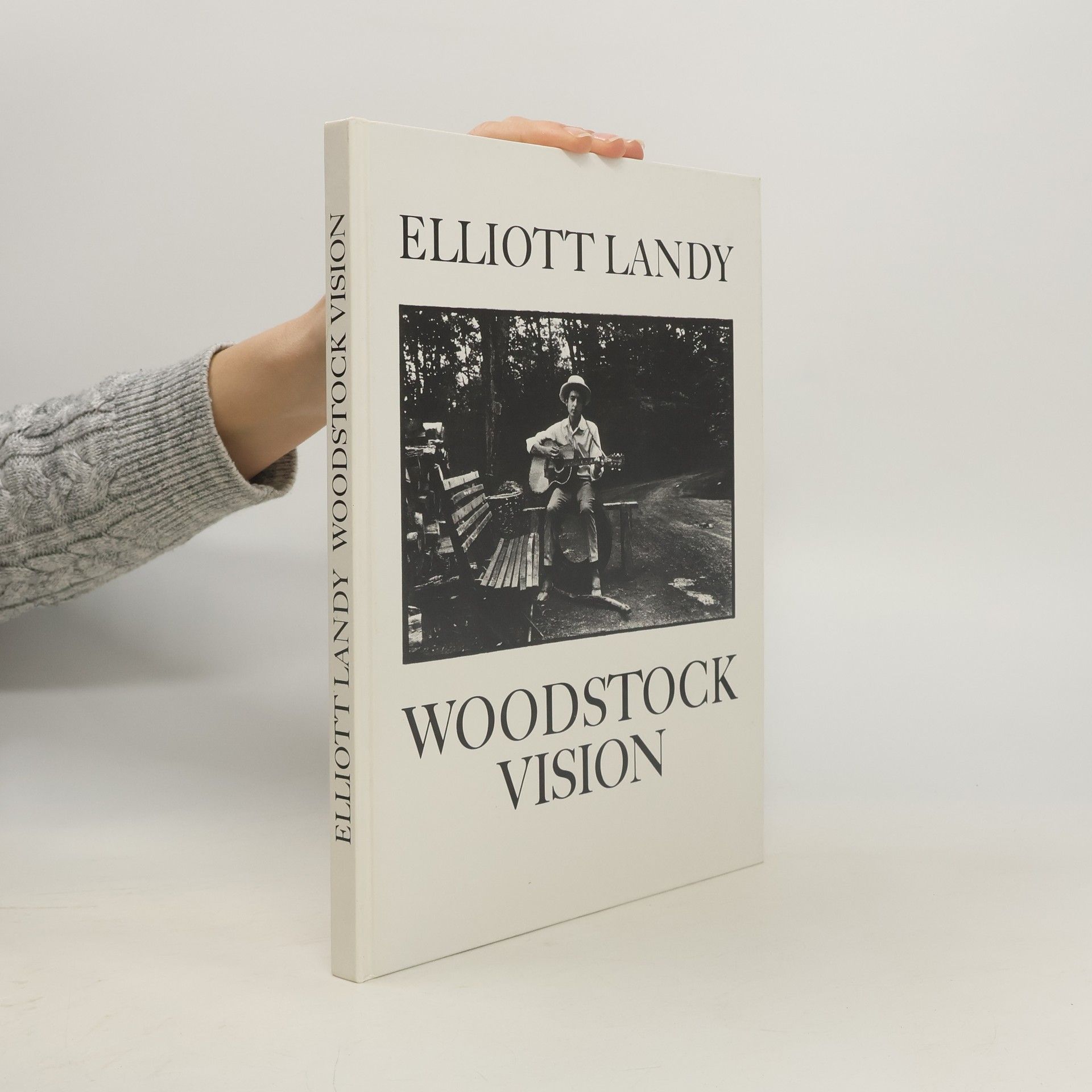 Elliot Landy Woodstock Vision