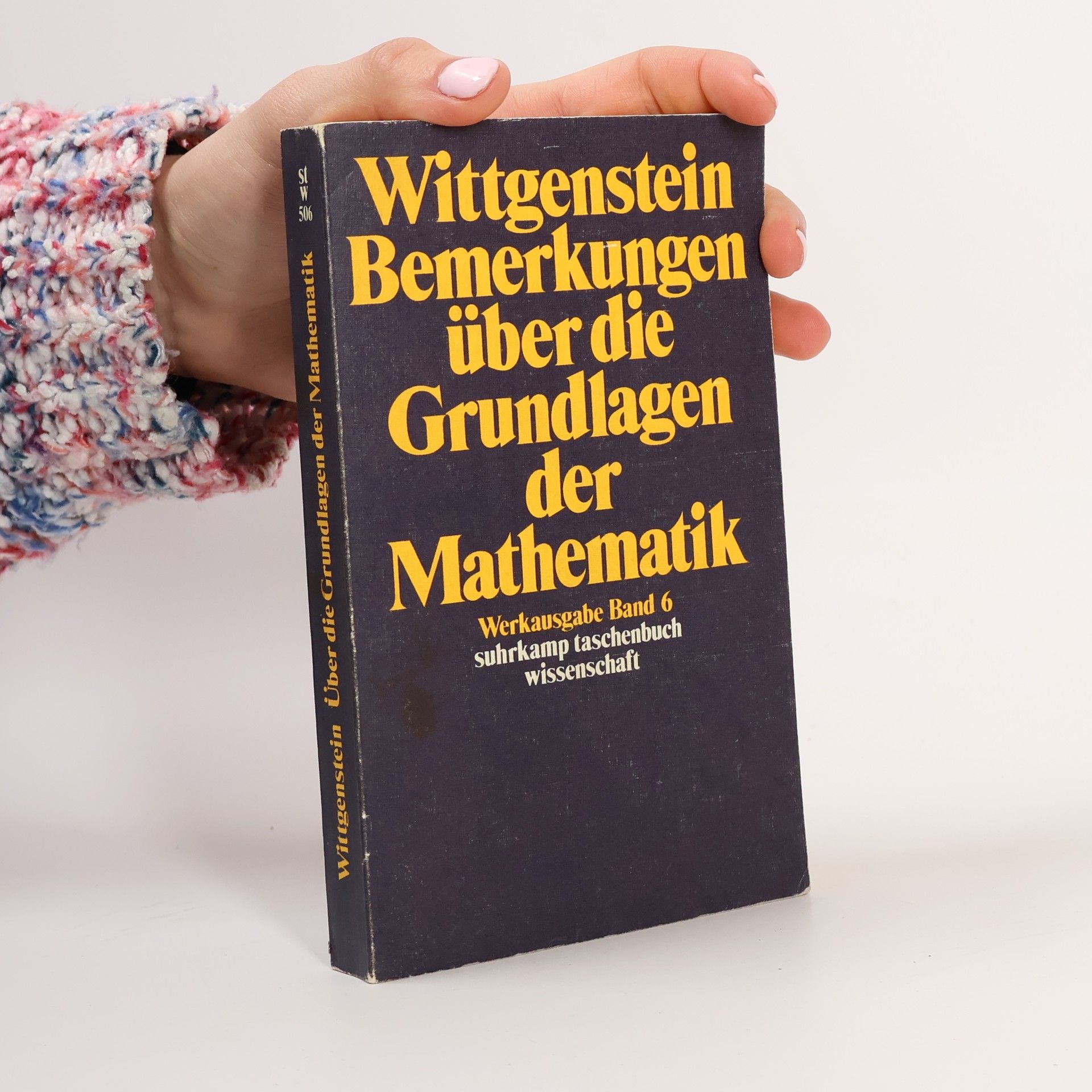 Ludwig Wittgenstein Werkausgabe. Bd.6